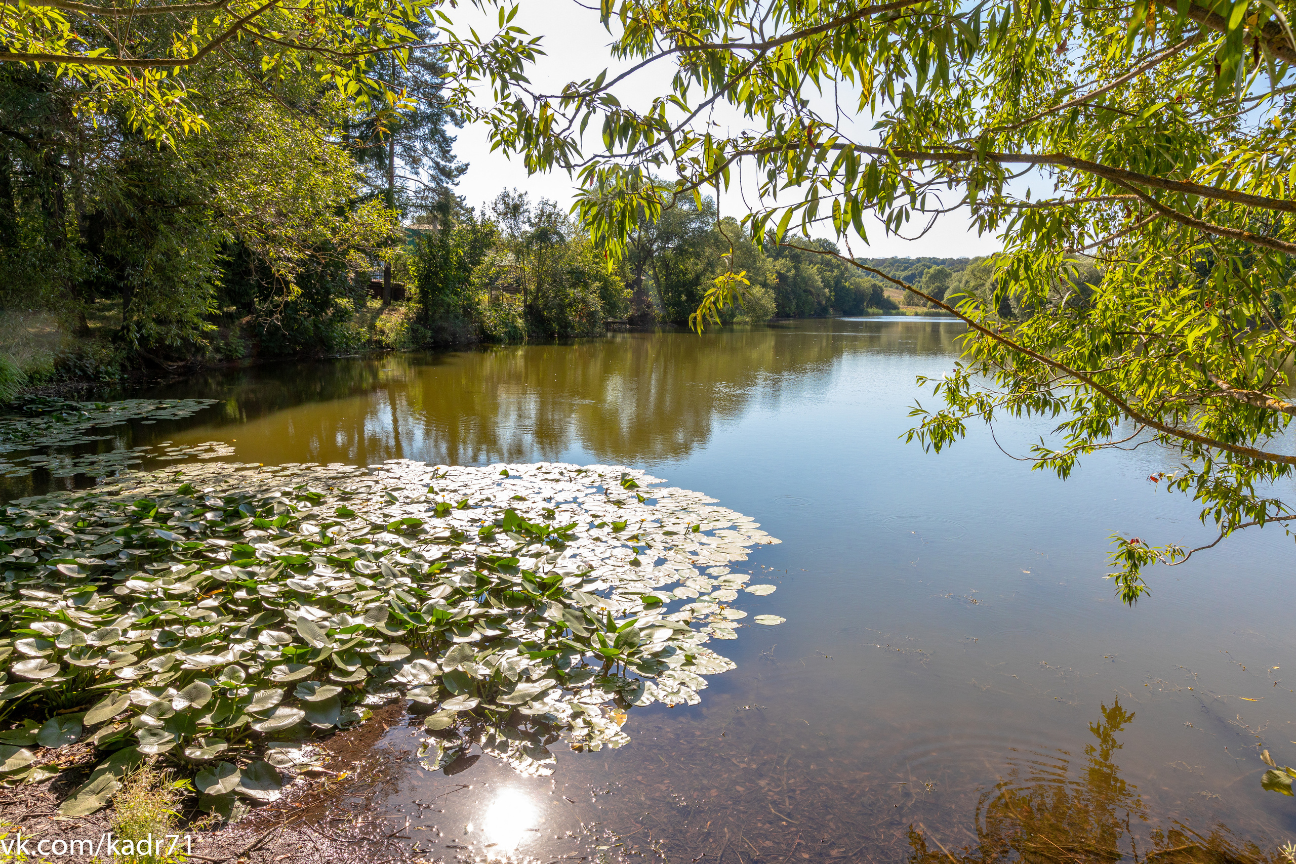 Усадьба Л. Н. Толстого «Ясная Поляна» летом. Фотограф в Туле Крупский АнДРей. Фотостудия «КАДР71» в Туле