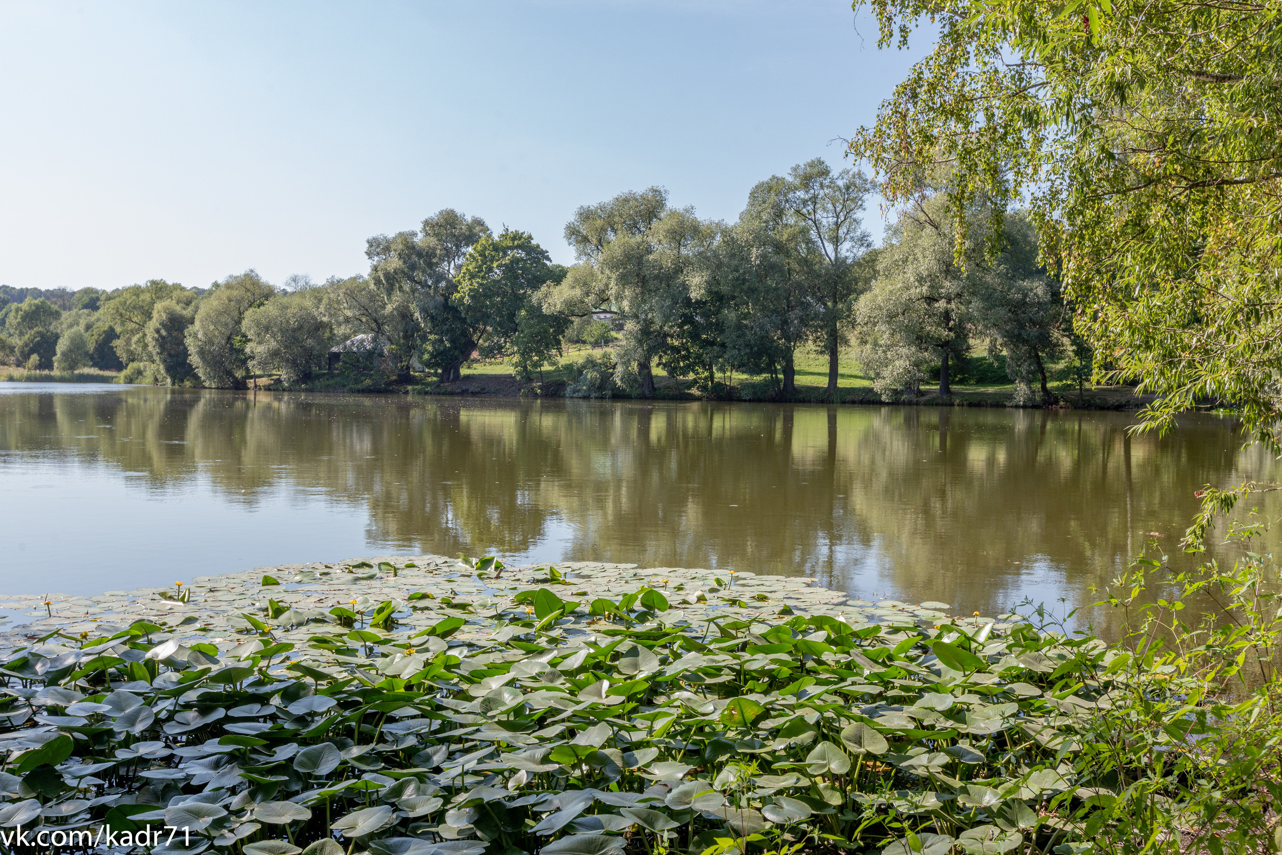Усадьба Л. Н. Толстого «Ясная Поляна» летом. Фотограф в Туле Крупский АнДРей. Фотостудия «КАДР71» в Туле