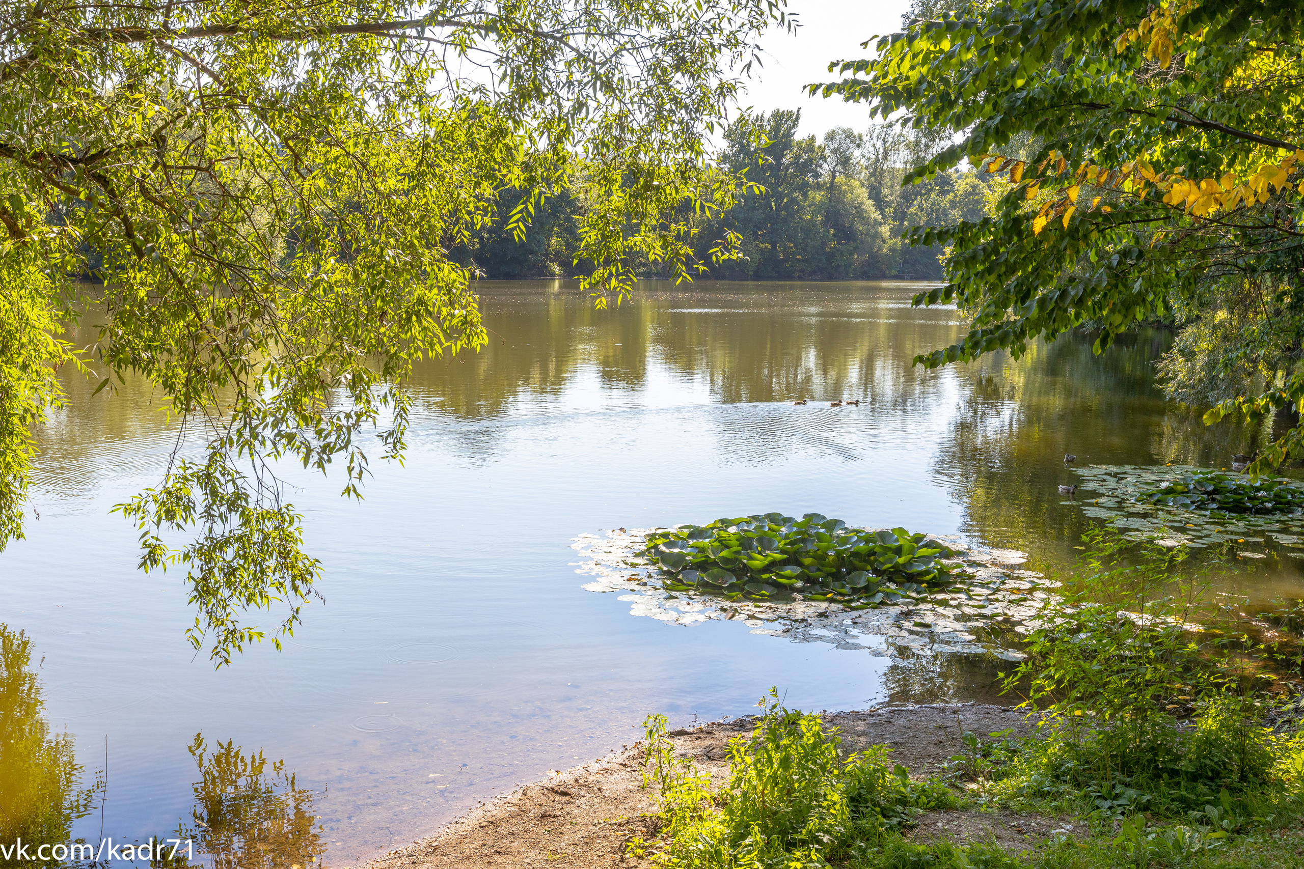 Усадьба Л. Н. Толстого «Ясная Поляна» летом. Фотограф в Туле Крупский АнДРей. Фотостудия «КАДР71» в Туле