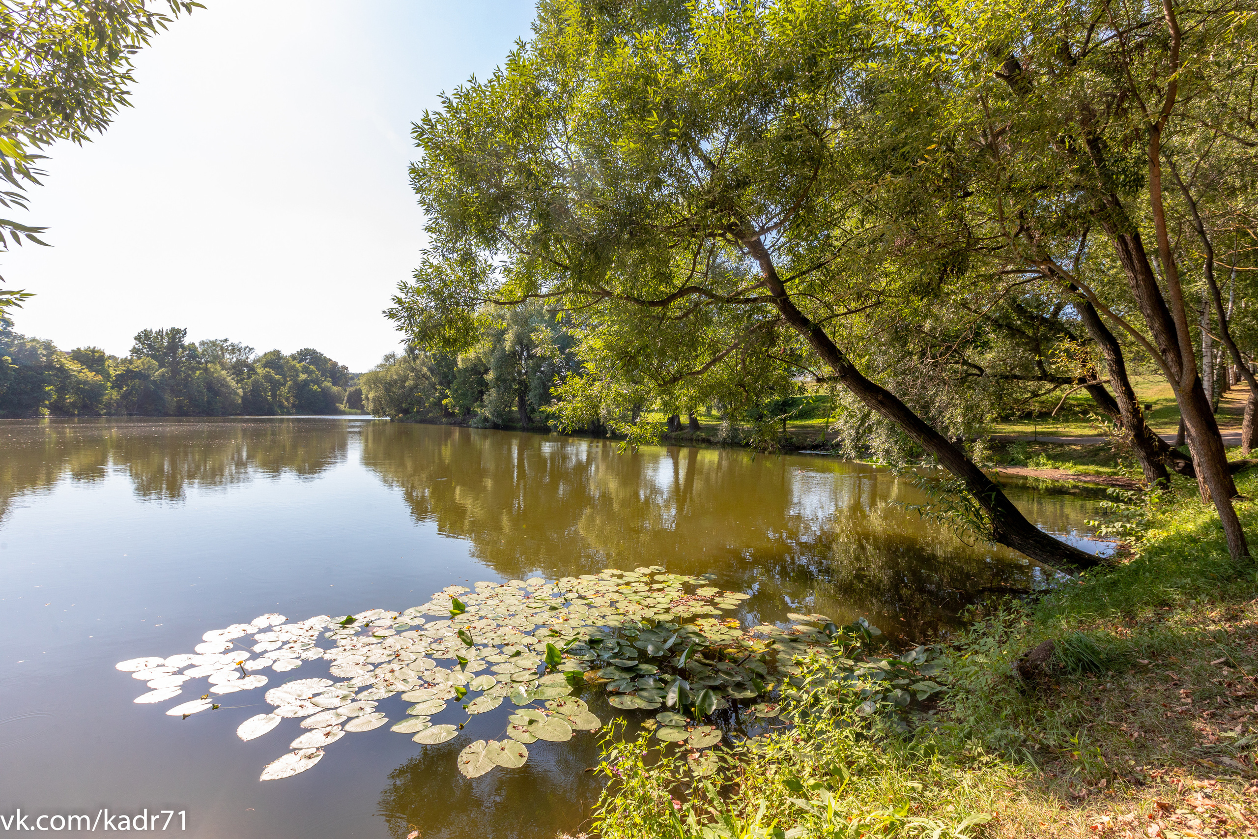 Усадьба Л. Н. Толстого «Ясная Поляна» летом. Фотограф в Туле Крупский АнДРей. Фотостудия «КАДР71» в Туле