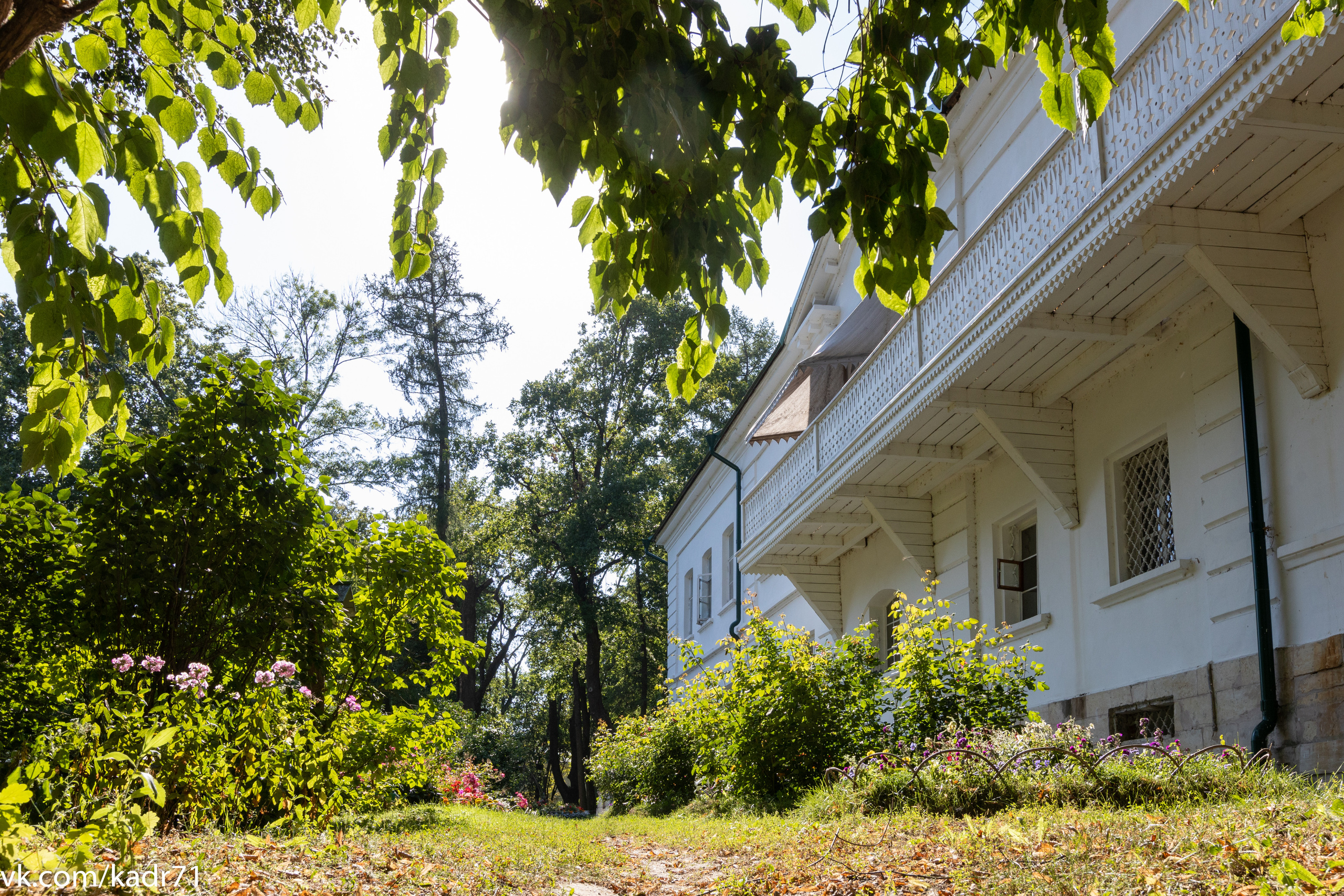 Усадьба Л. Н. Толстого «Ясная Поляна» летом. Фотограф в Туле Крупский АнДРей. Фотостудия «КАДР71» в Туле