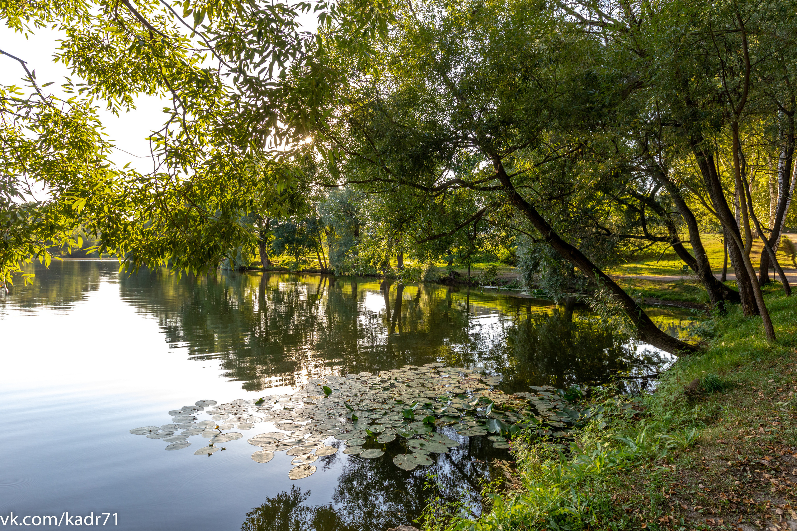 Усадьба Л. Н. Толстого «Ясная Поляна» летом. Фотограф в Туле Крупский АнДРей. Фотостудия «КАДР71» в Туле