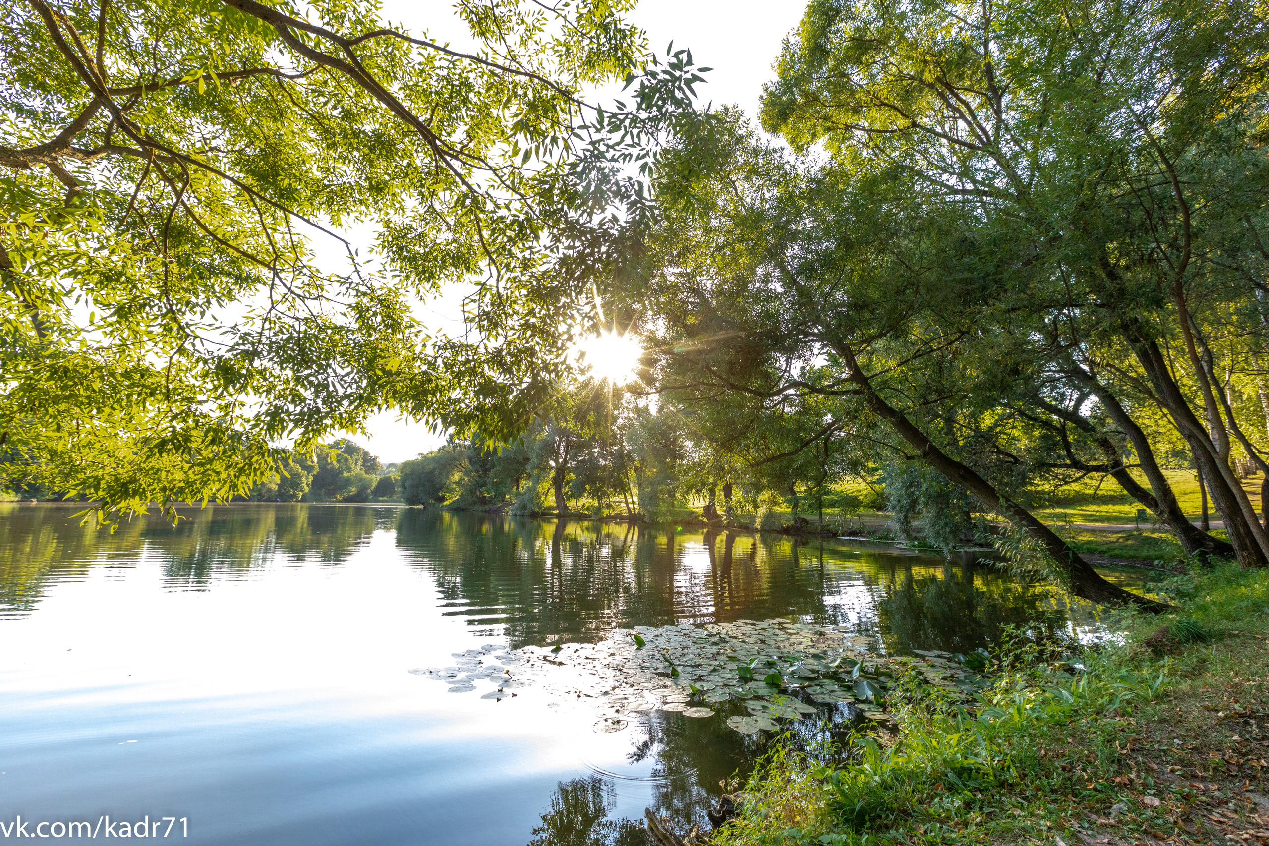 Усадьба Л. Н. Толстого «Ясная Поляна» летом. Фотограф в Туле Крупский АнДРей. Фотостудия «КАДР71» в Туле