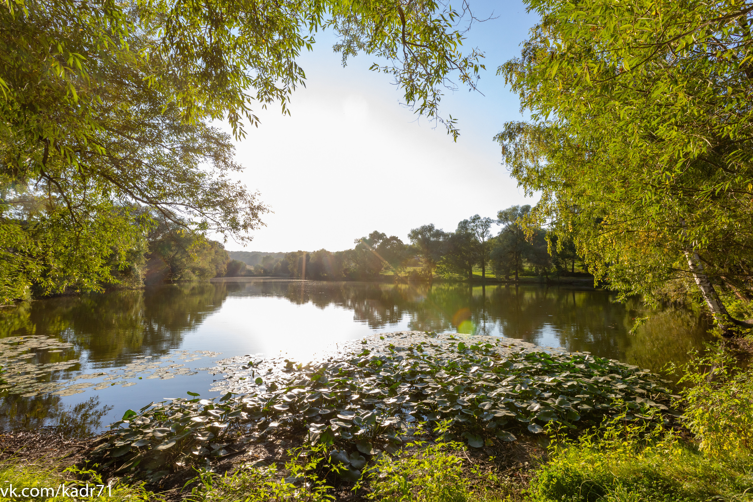 Усадьба Л. Н. Толстого «Ясная Поляна» летом. Фотограф в Туле Крупский АнДРей. Фотостудия «КАДР71» в Туле