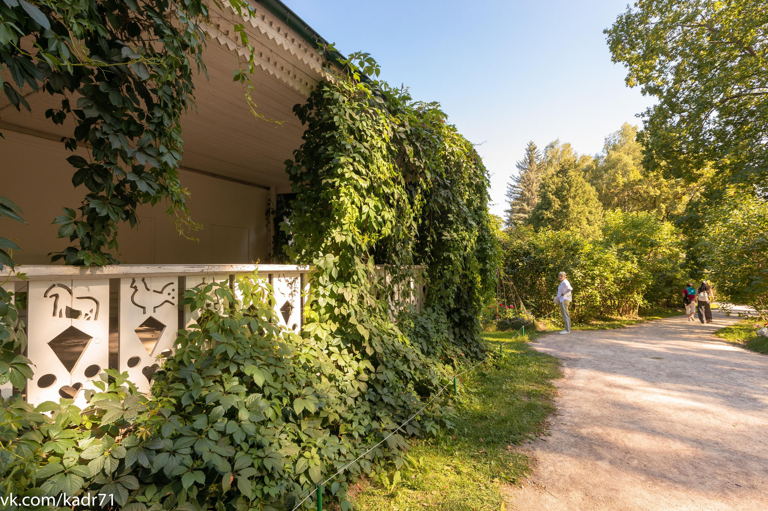 Усадьба Л. Н. Толстого «Ясная Поляна» летом. Фотограф в Туле Крупский АнДРей. Фотостудия «КАДР71» в Туле