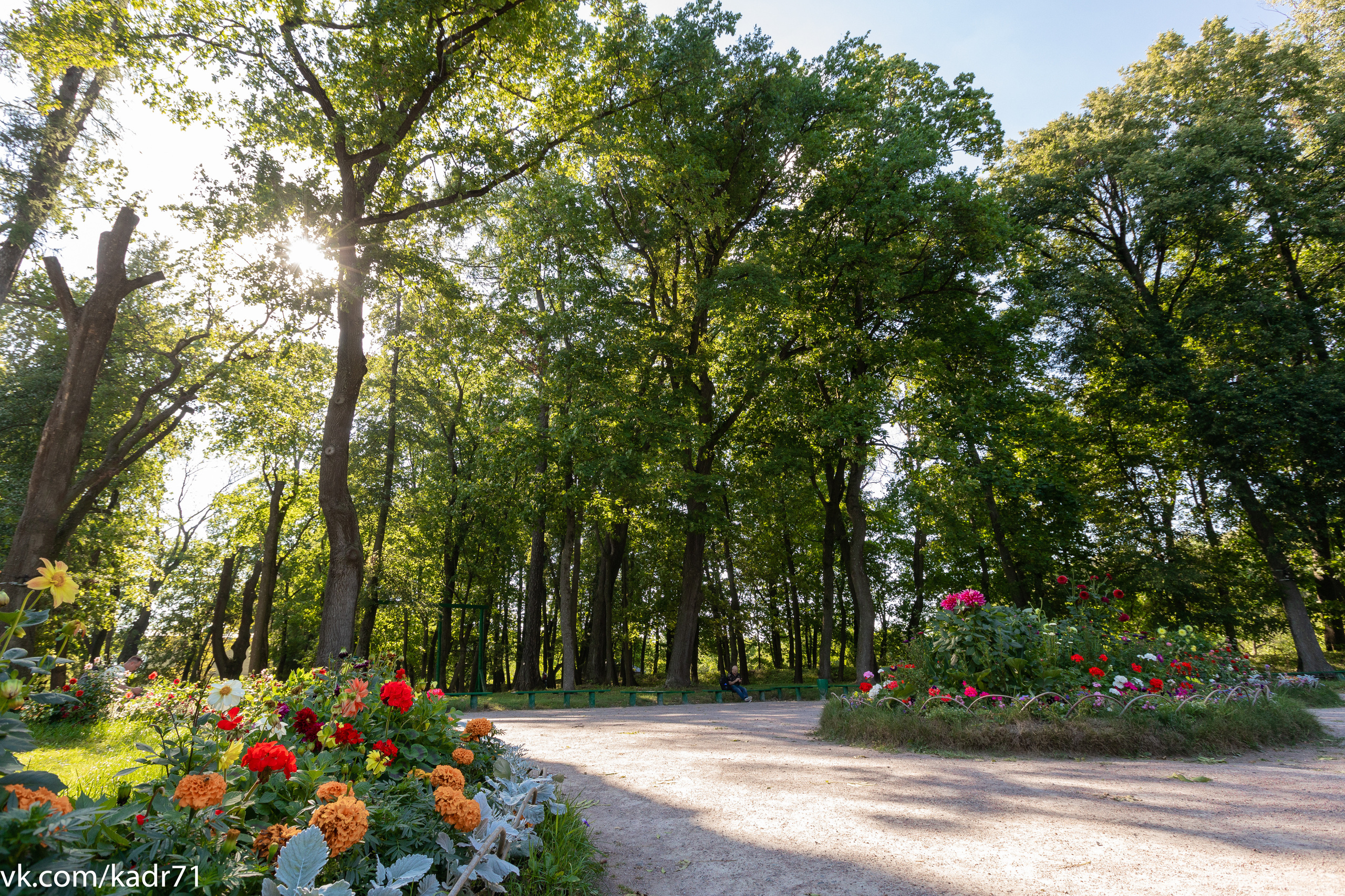Усадьба Л. Н. Толстого «Ясная Поляна» летом. Фотограф в Туле Крупский АнДРей. Фотостудия «КАДР71» в Туле