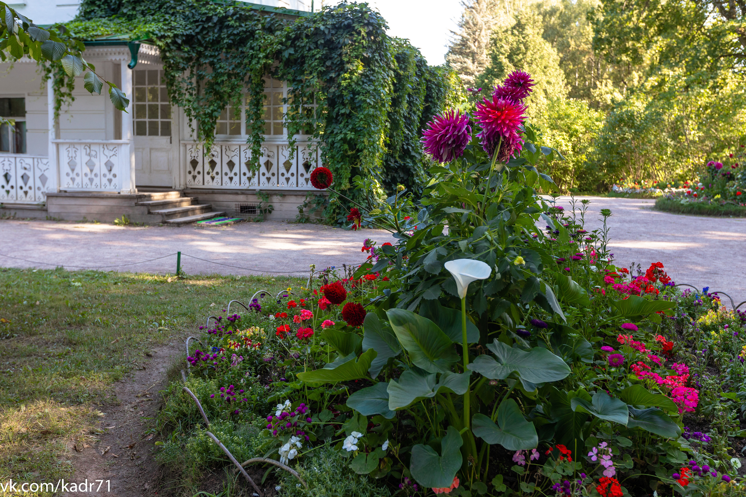 Усадьба Л. Н. Толстого «Ясная Поляна» летом. Фотограф в Туле Крупский АнДРей. Фотостудия «КАДР71» в Туле