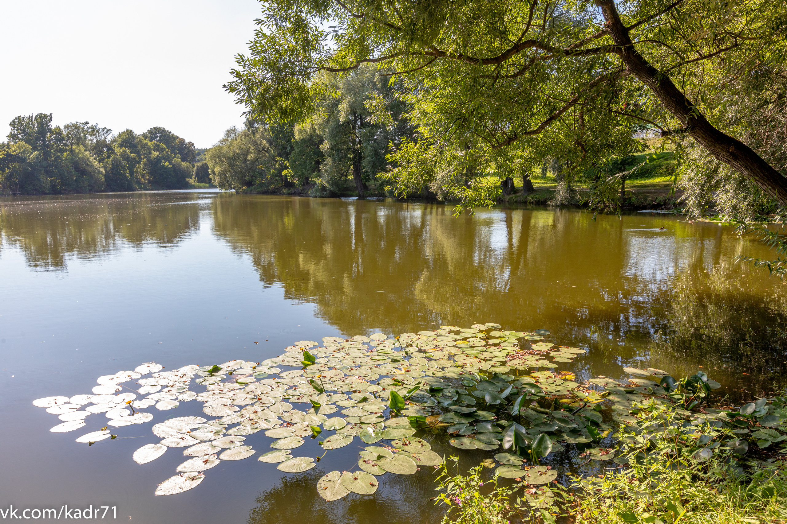 Усадьба Л. Н. Толстого «Ясная Поляна» летом. Фотограф в Туле Крупский АнДРей. Фотостудия «КАДР71» в Туле