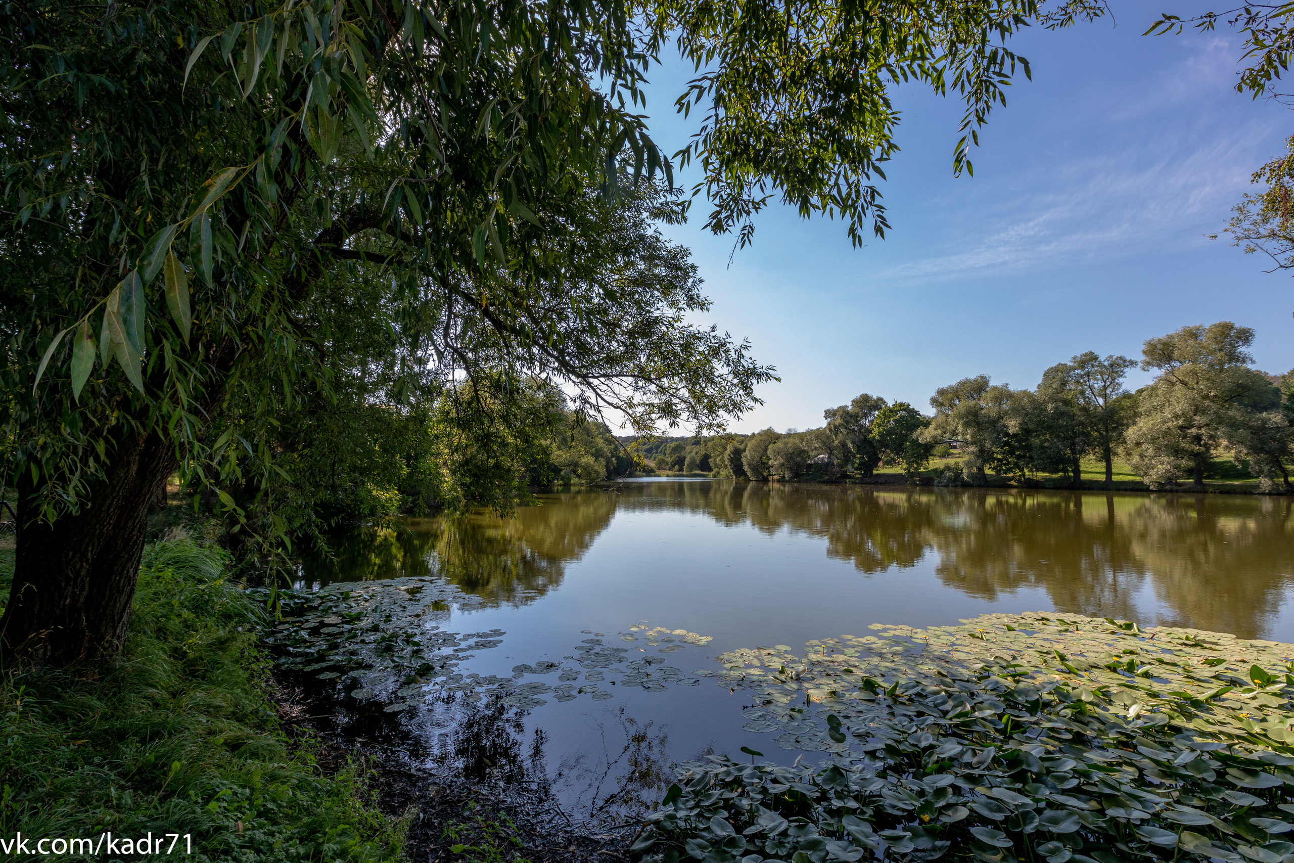 Усадьба Л. Н. Толстого «Ясная Поляна» летом. Фотограф в Туле Крупский АнДРей. Фотостудия «КАДР71» в Туле