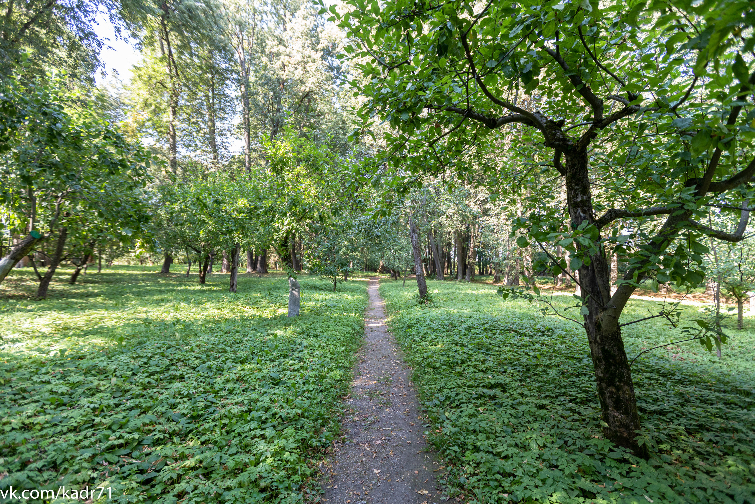 Усадьба Л. Н. Толстого «Ясная Поляна» летом. Фотограф в Туле Крупский АнДРей. Фотостудия «КАДР71» в Туле