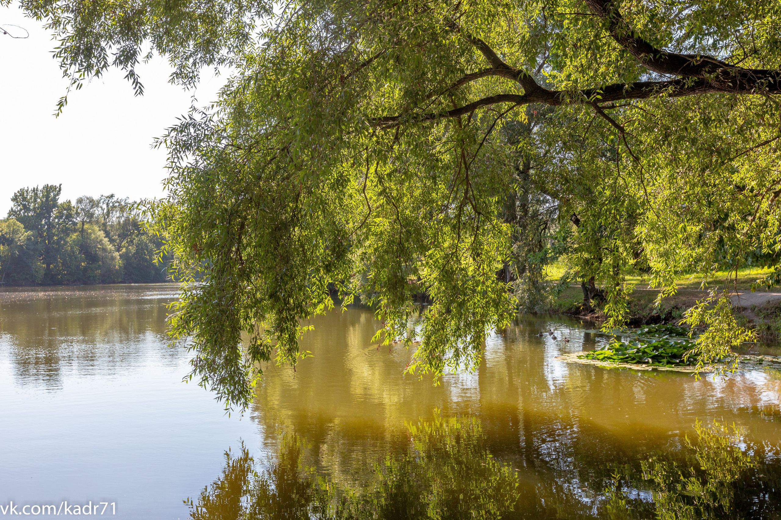 Усадьба Л. Н. Толстого «Ясная Поляна» летом. Фотограф в Туле Крупский АнДРей. Фотостудия «КАДР71» в Туле