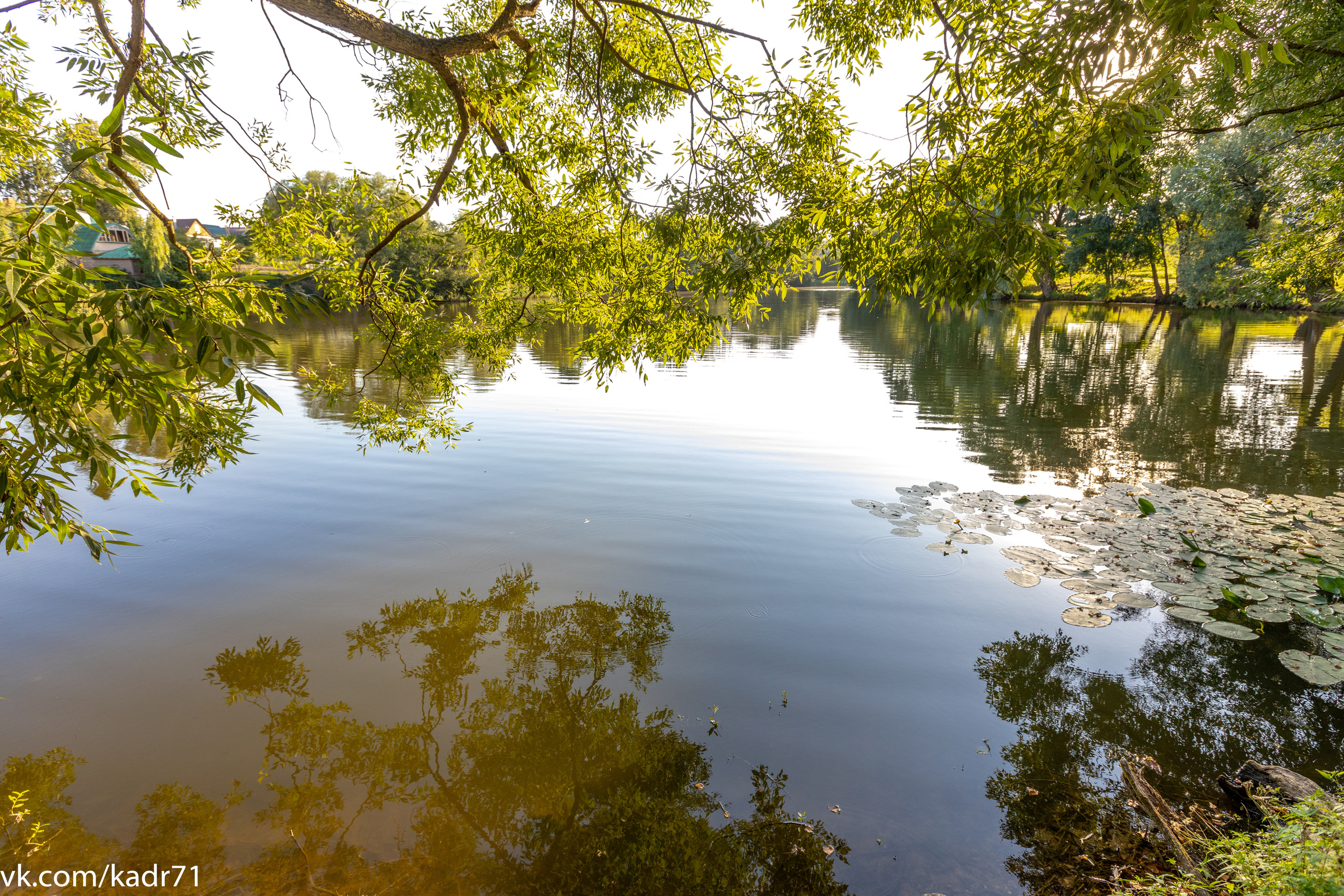Усадьба Л. Н. Толстого «Ясная Поляна» летом. Фотограф в Туле Крупский АнДРей. Фотостудия «КАДР71» в Туле