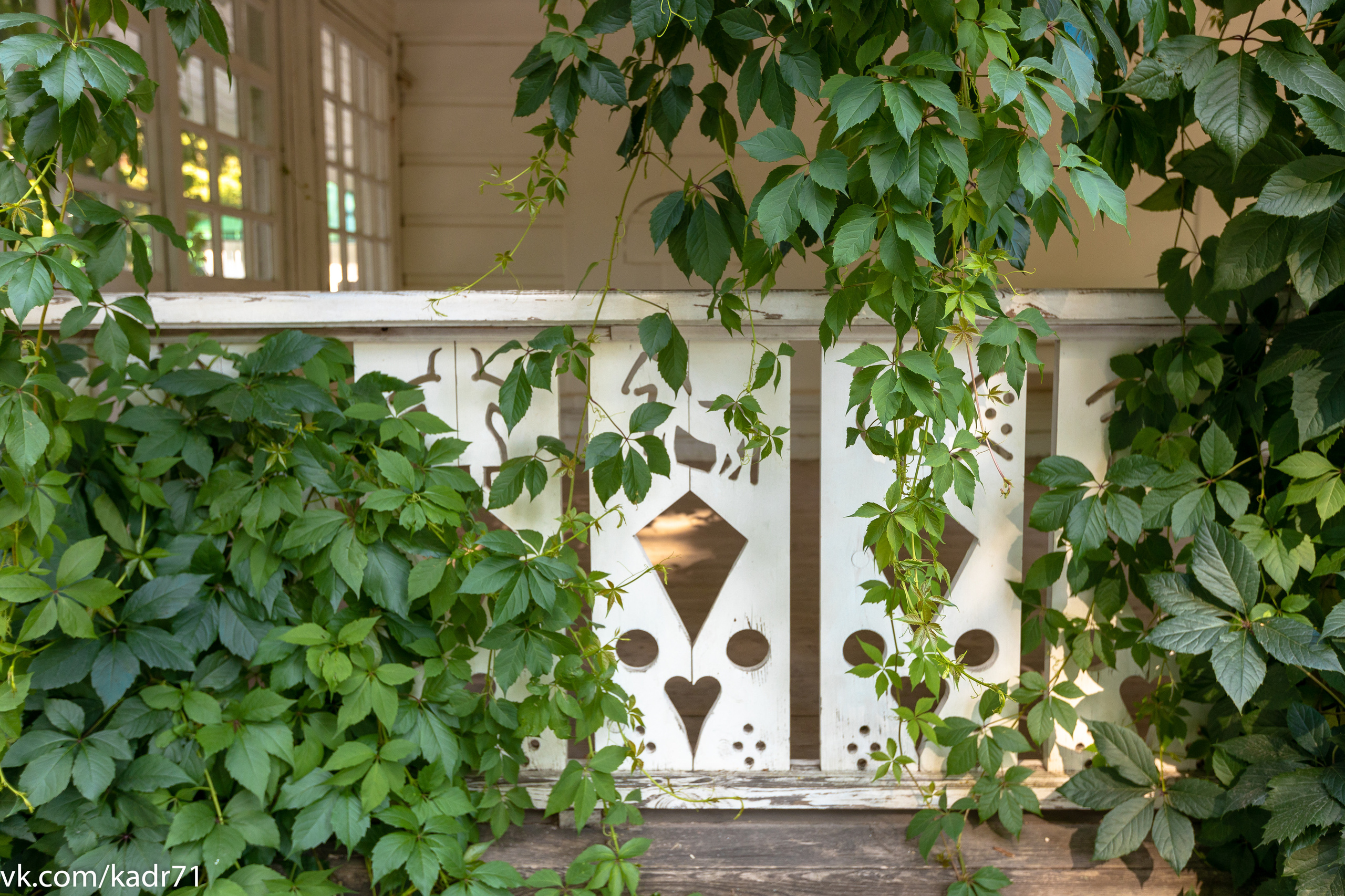 Усадьба Л. Н. Толстого «Ясная Поляна» летом. Фотограф в Туле Крупский АнДРей. Фотостудия «КАДР71» в Туле