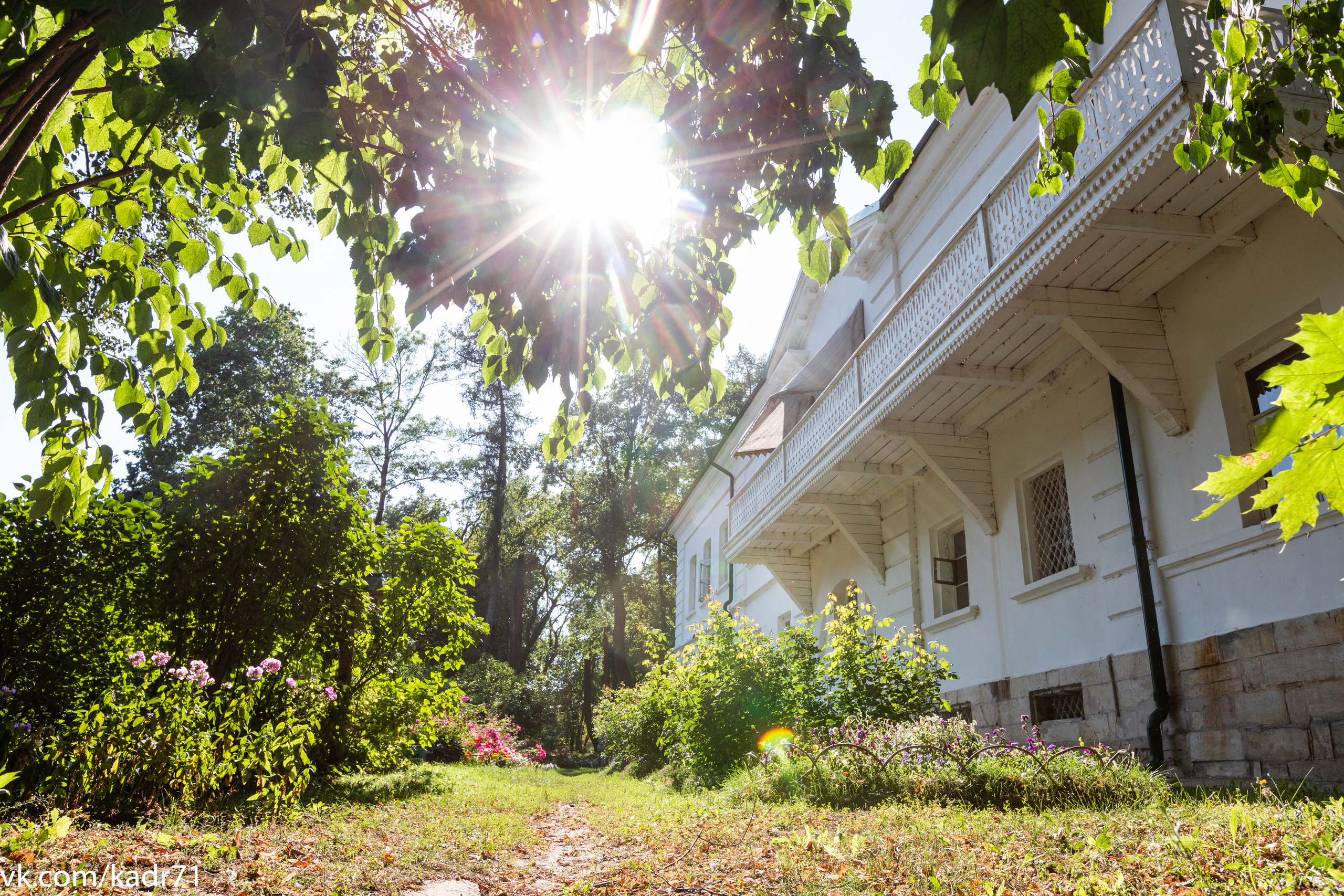 Усадьба Л. Н. Толстого «Ясная Поляна» летом. Фотограф в Туле Крупский АнДРей. Фотостудия «КАДР71» в Туле