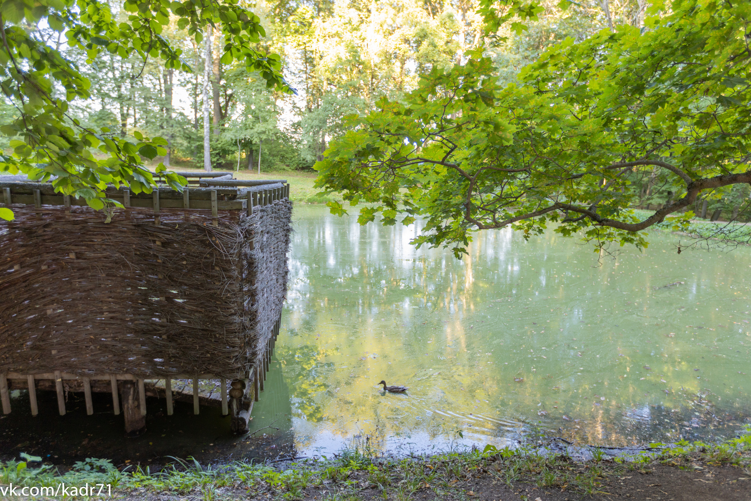 Усадьба Л. Н. Толстого «Ясная Поляна» летом. Фотограф в Туле Крупский АнДРей. Фотостудия «КАДР71» в Туле