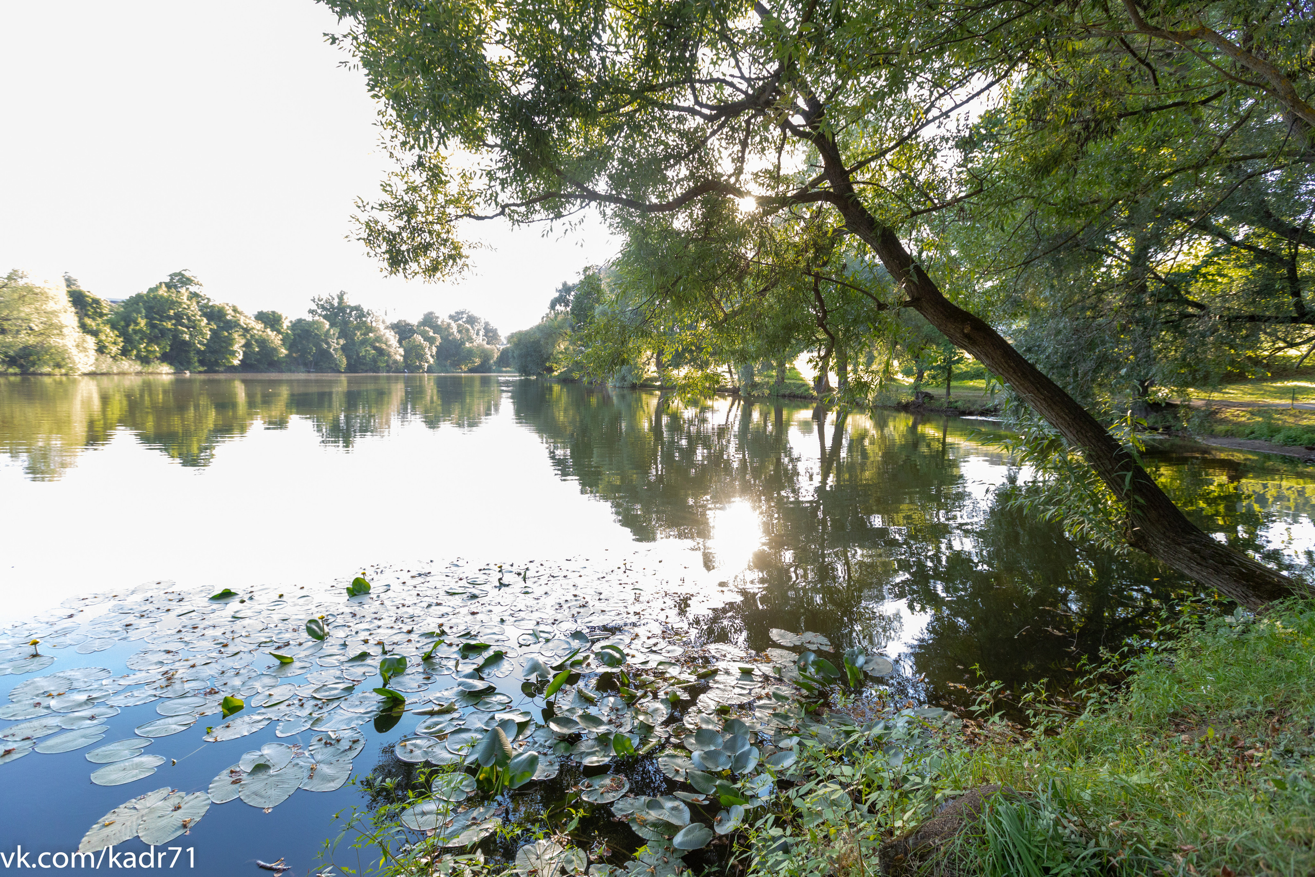 Усадьба Л. Н. Толстого «Ясная Поляна» летом. Фотограф в Туле Крупский АнДРей. Фотостудия «КАДР71» в Туле