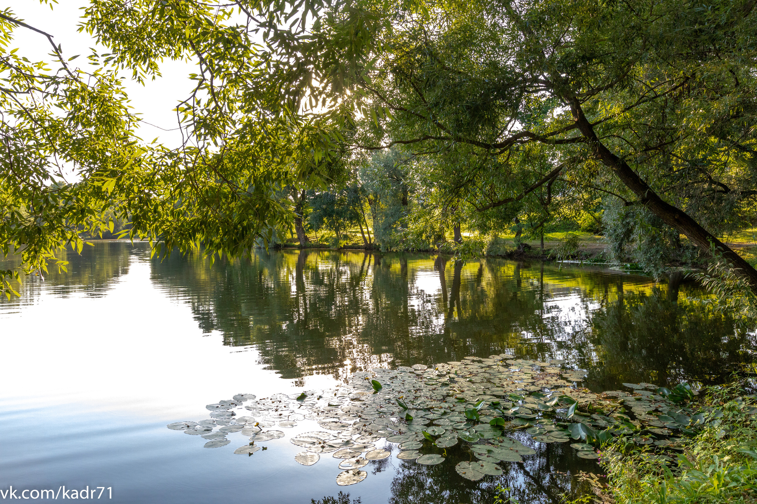 Усадьба Л. Н. Толстого «Ясная Поляна» летом. Фотограф в Туле Крупский АнДРей. Фотостудия «КАДР71» в Туле