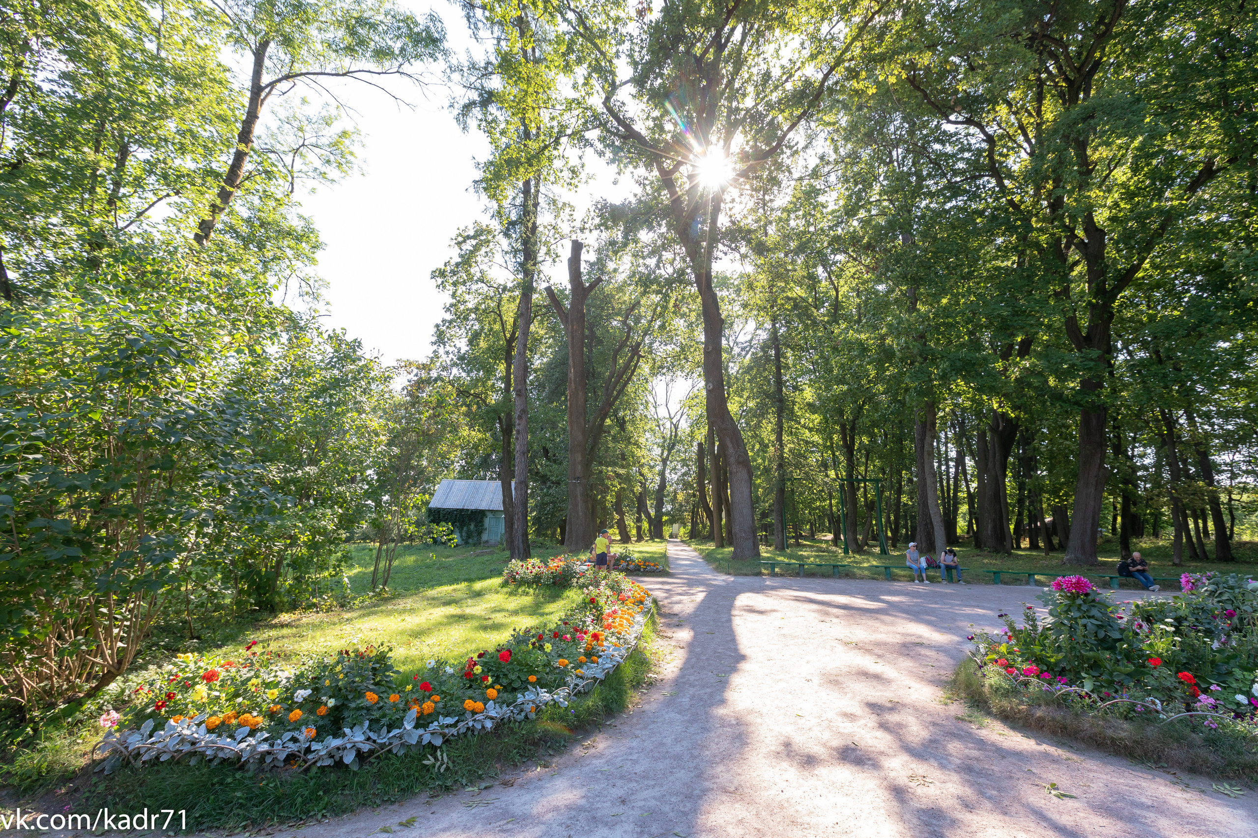 Усадьба Л. Н. Толстого «Ясная Поляна» летом. Фотограф в Туле Крупский АнДРей. Фотостудия «КАДР71» в Туле