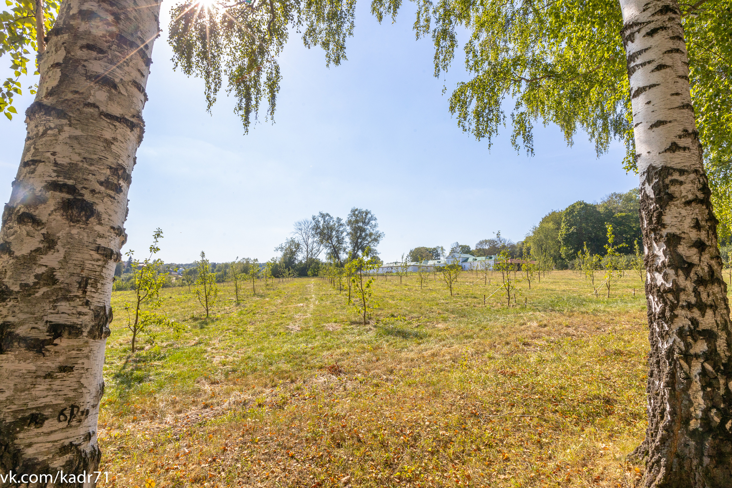 Усадьба Л. Н. Толстого «Ясная Поляна» летом. Фотограф в Туле Крупский АнДРей. Фотостудия «КАДР71» в Туле
