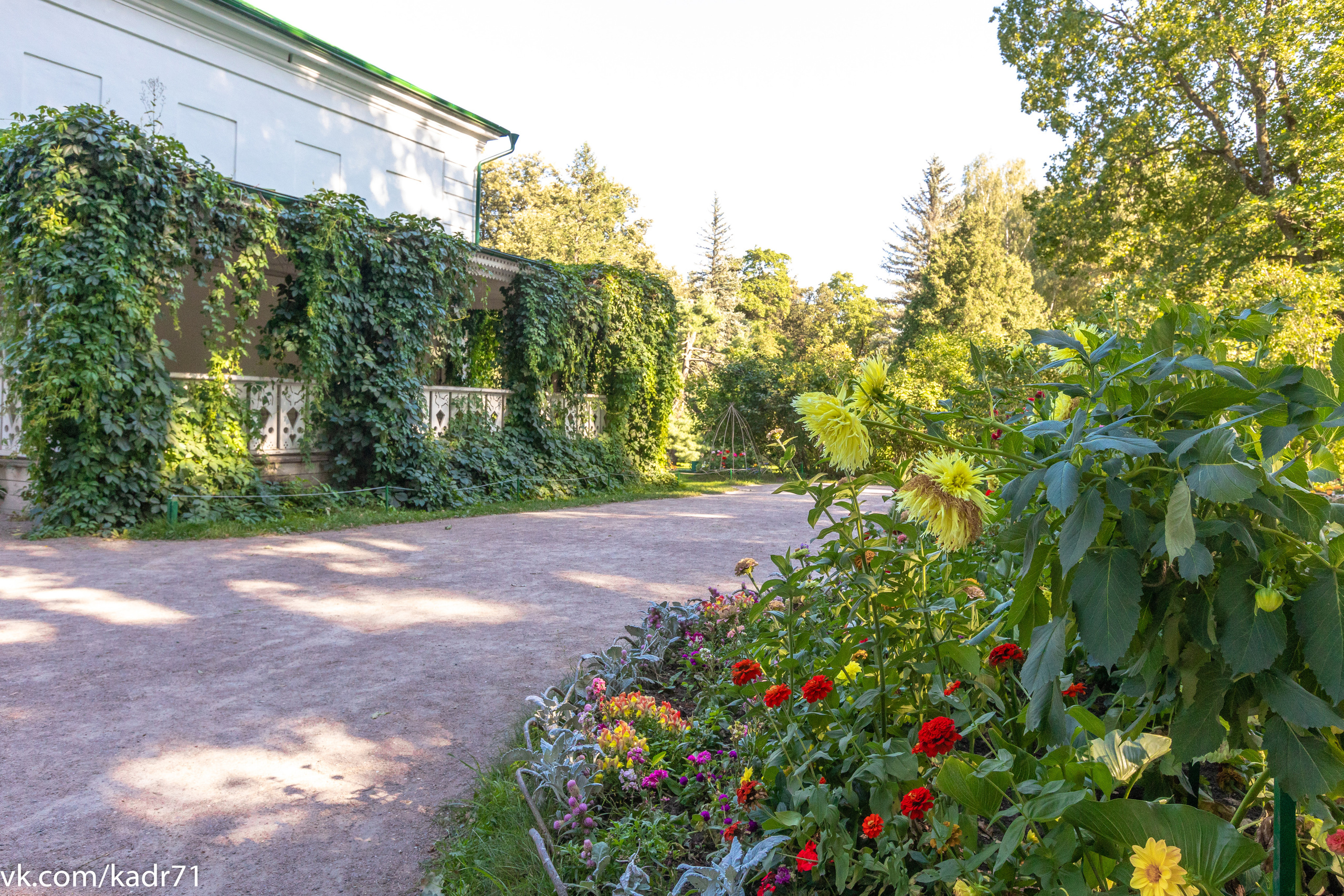 Усадьба Л. Н. Толстого «Ясная Поляна» летом. Фотограф в Туле Крупский АнДРей. Фотостудия «КАДР71» в Туле