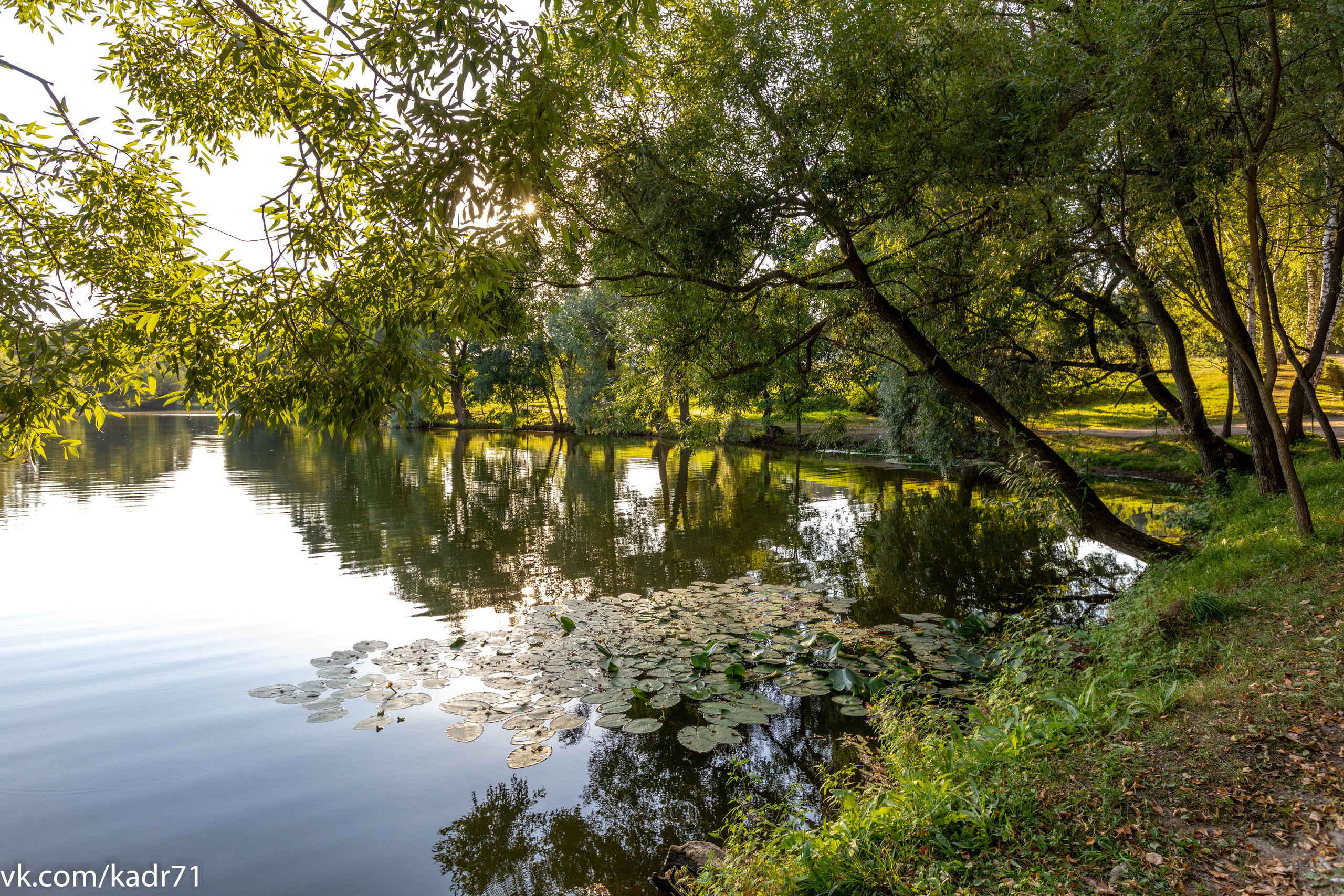 Усадьба Л. Н. Толстого «Ясная Поляна» летом. Фотограф в Туле Крупский АнДРей. Фотостудия «КАДР71» в Туле