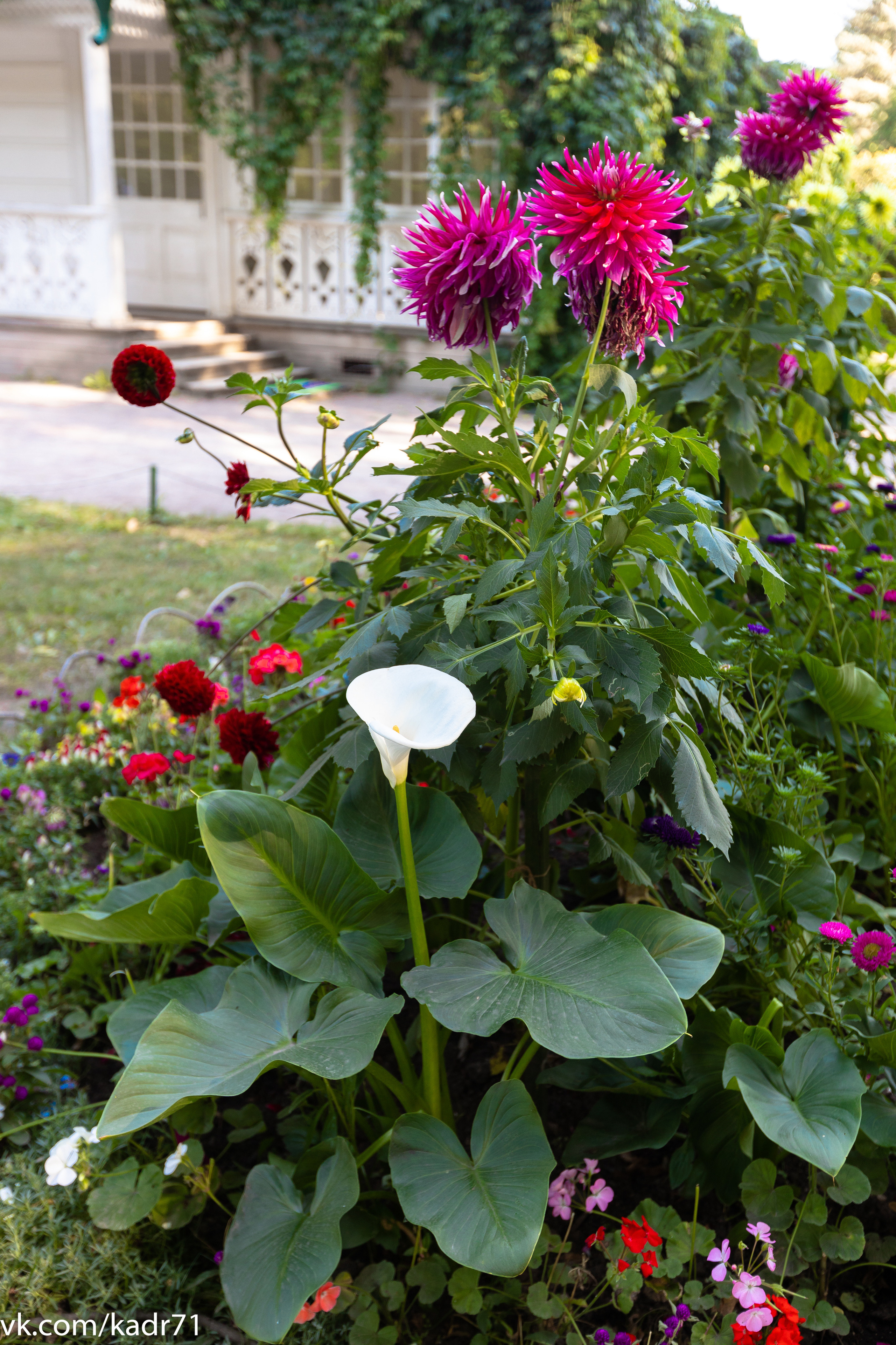 Усадьба Л. Н. Толстого «Ясная Поляна» летом. Фотограф в Туле Крупский АнДРей. Фотостудия «КАДР71» в Туле