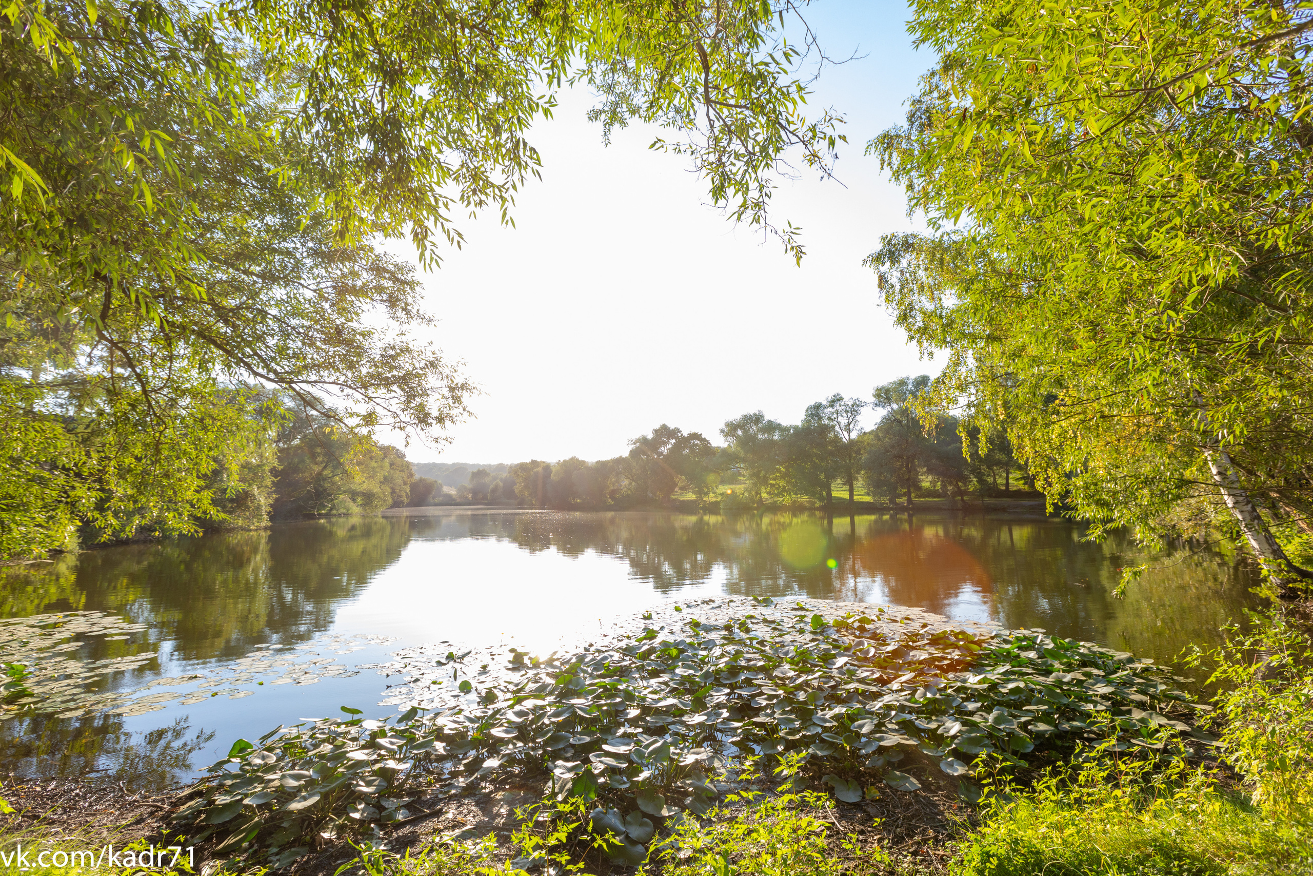Усадьба Л. Н. Толстого «Ясная Поляна» летом. Фотограф в Туле Крупский АнДРей. Фотостудия «КАДР71» в Туле