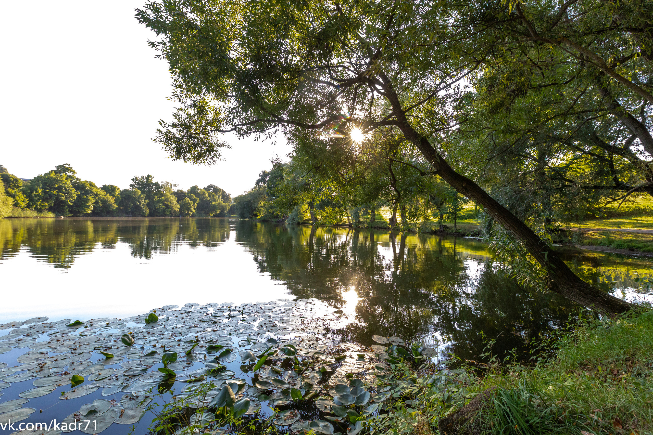 Усадьба Л. Н. Толстого «Ясная Поляна» летом. Фотограф в Туле Крупский АнДРей. Фотостудия «КАДР71» в Туле