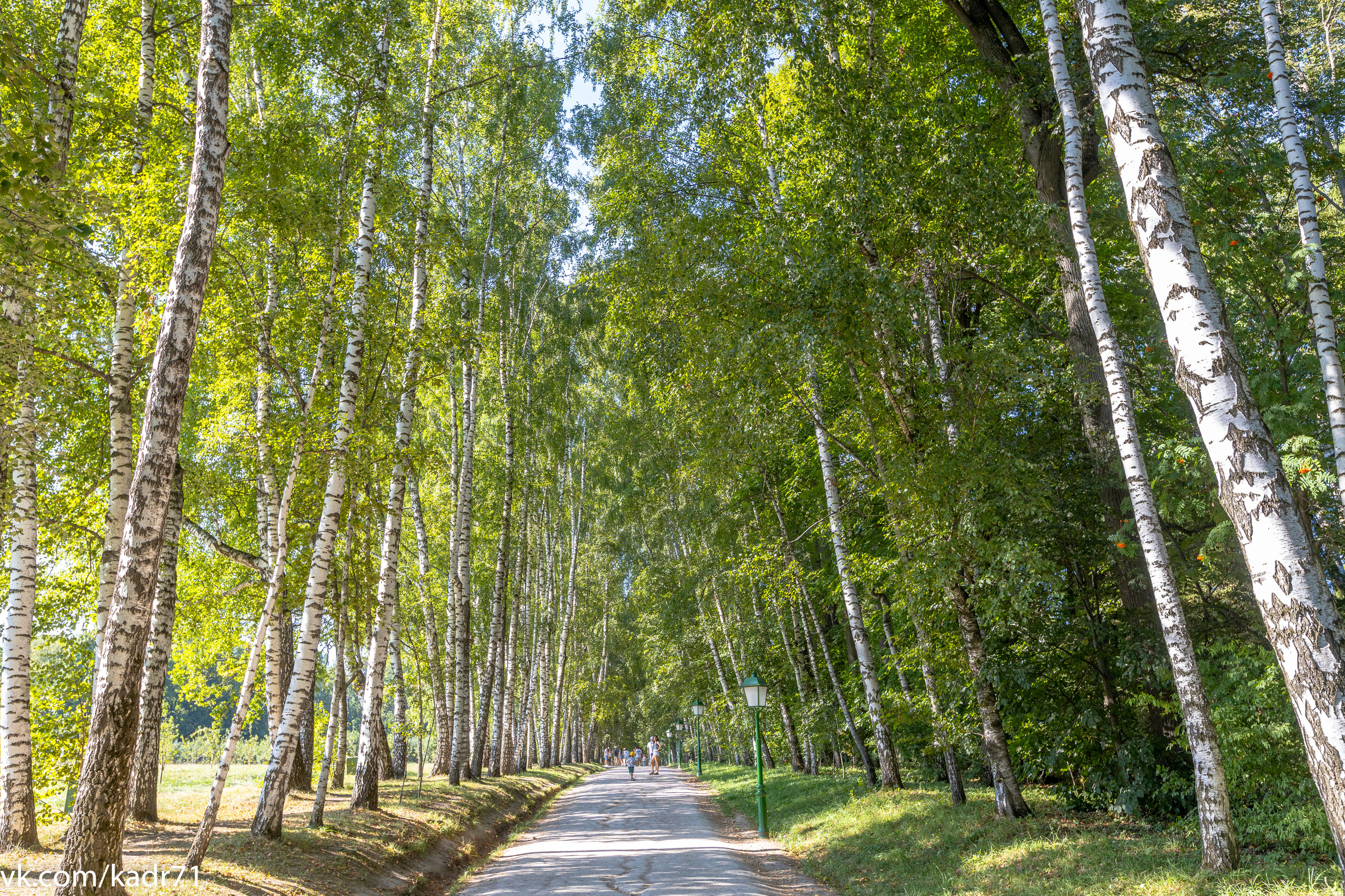 Усадьба Л. Н. Толстого «Ясная Поляна» летом. Фотограф в Туле Крупский АнДРей. Фотостудия «КАДР71» в Туле