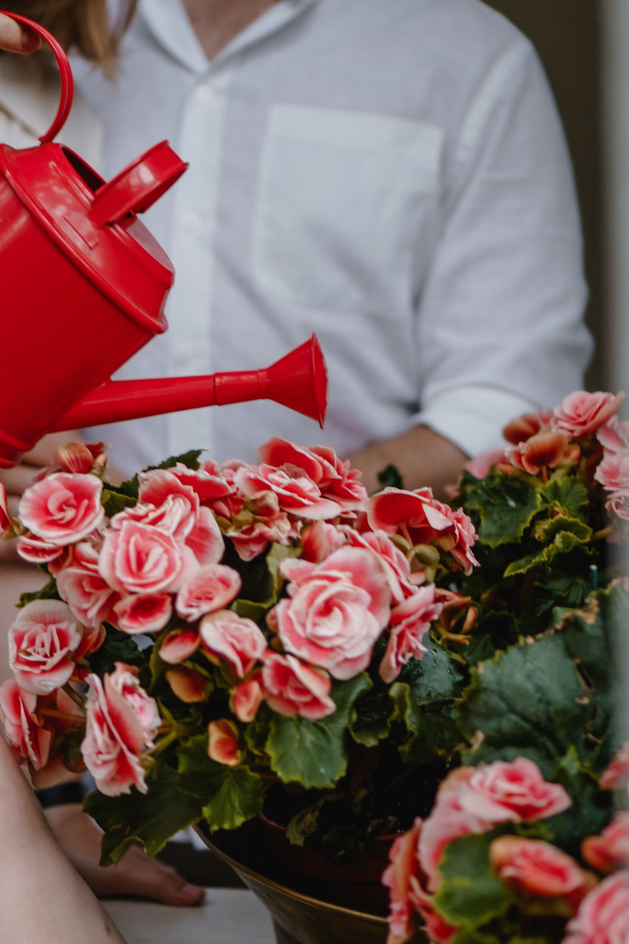 DASHA&PASHA. Анастасия Вайнер — свадебный и портретный фотограф в Германии и по всей Европе