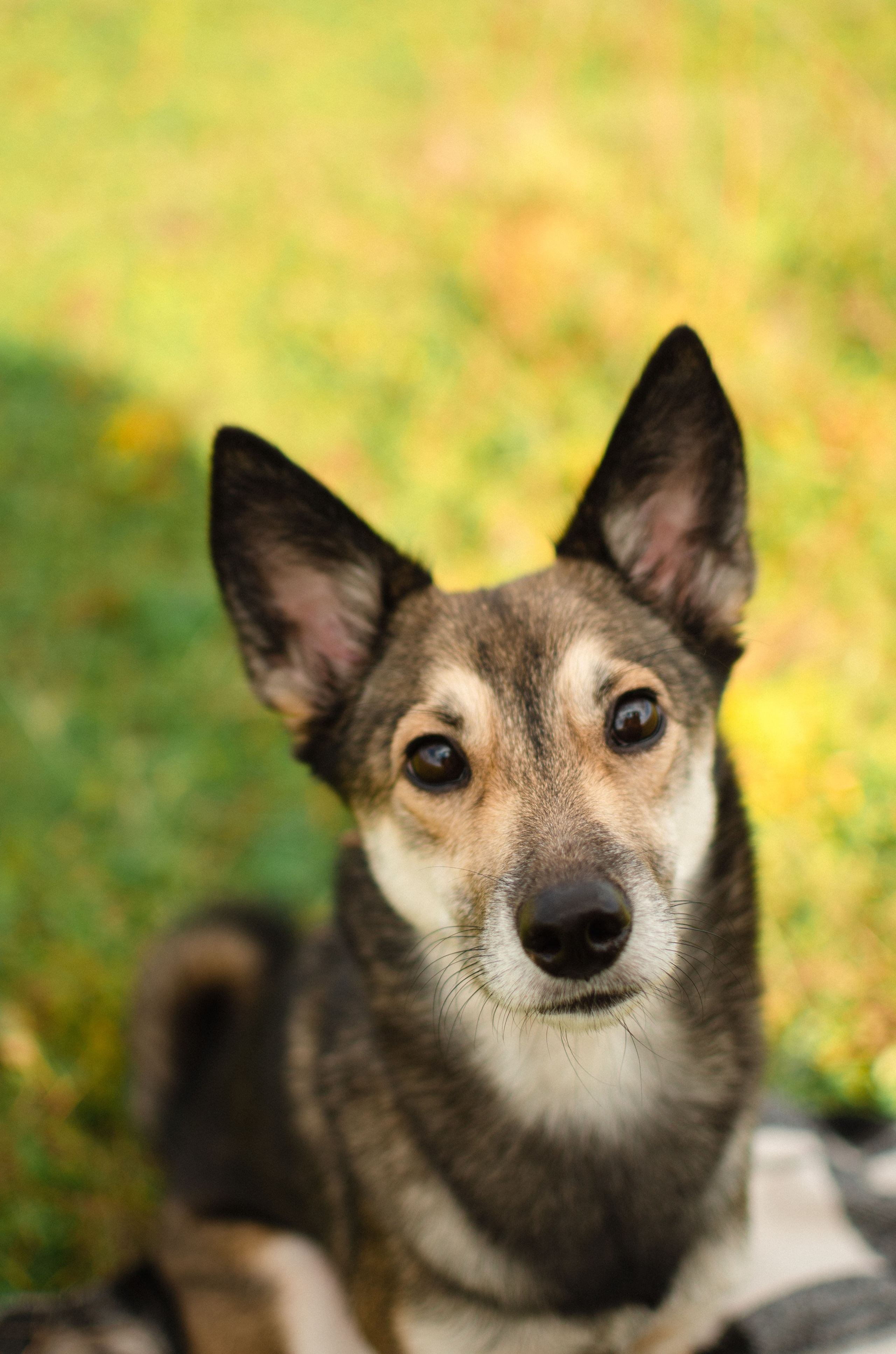 Полина & Ронни. Женский и предметный фотограф в Уфе Анастасия Настоечка