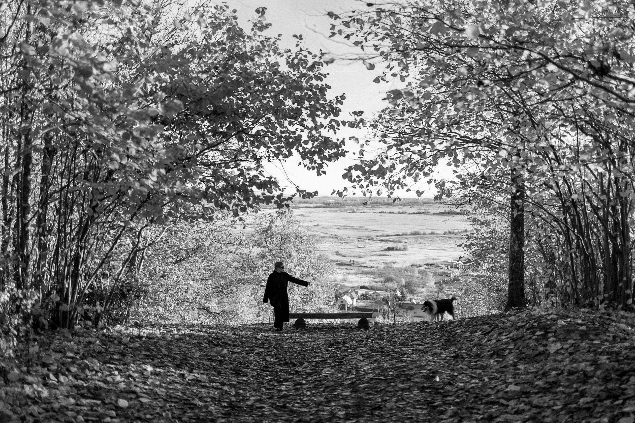 Ия и Барт. Фотограф — Анималист | Санкт-Петербург