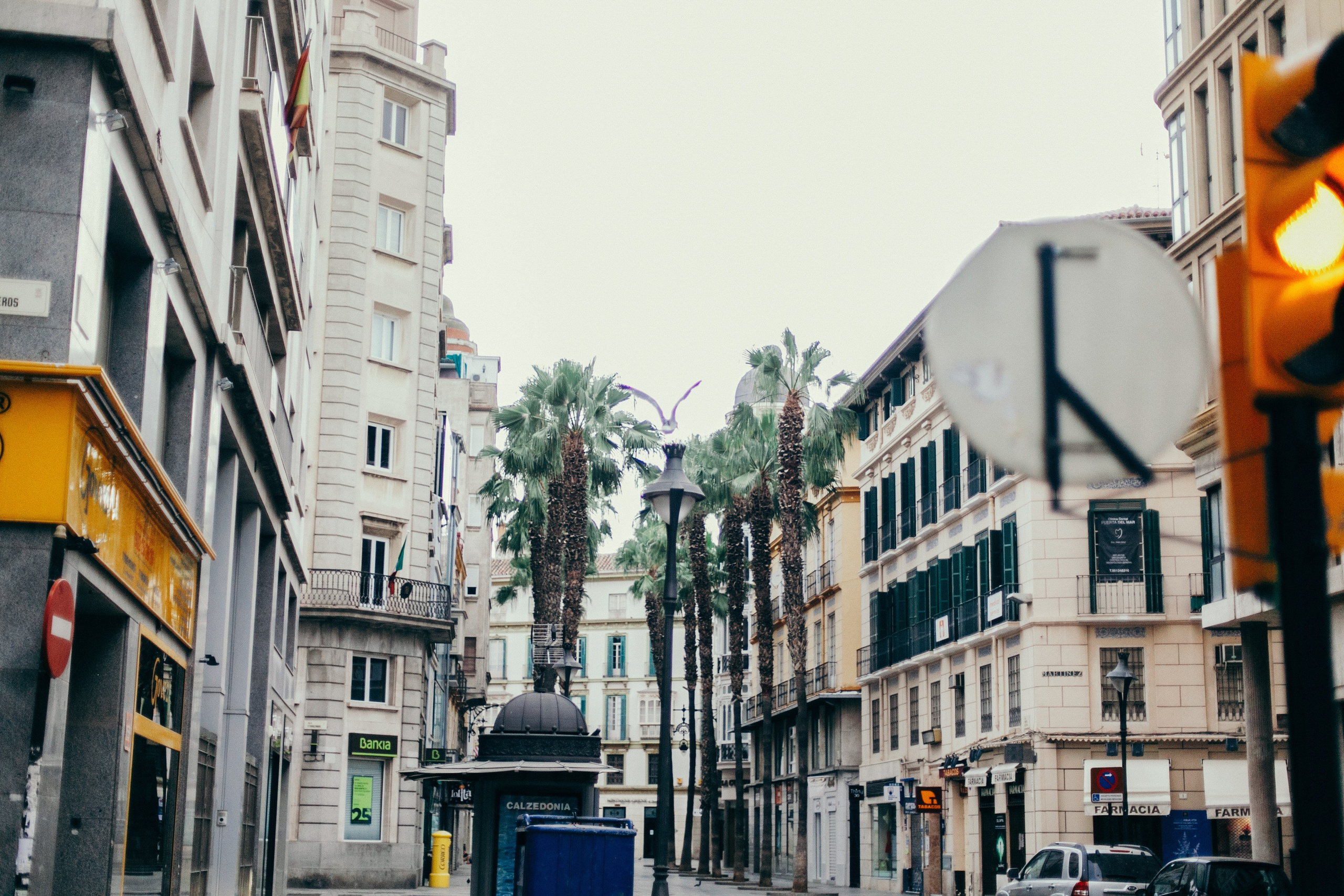 Малага. Аня Степанова