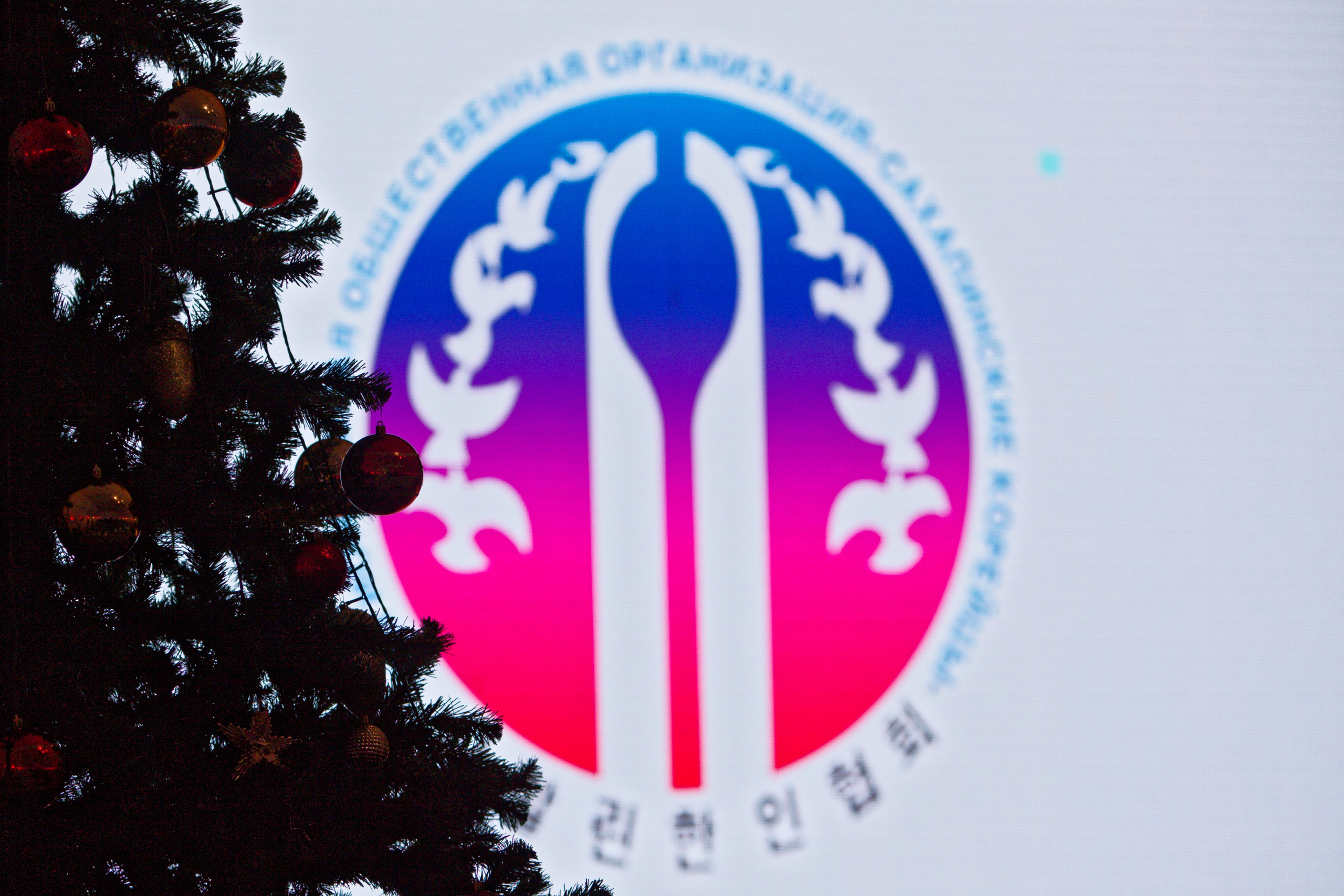 Новый Год по лунному календарю. Кутузов Евгений Фотограф в Южно-Сахалинске