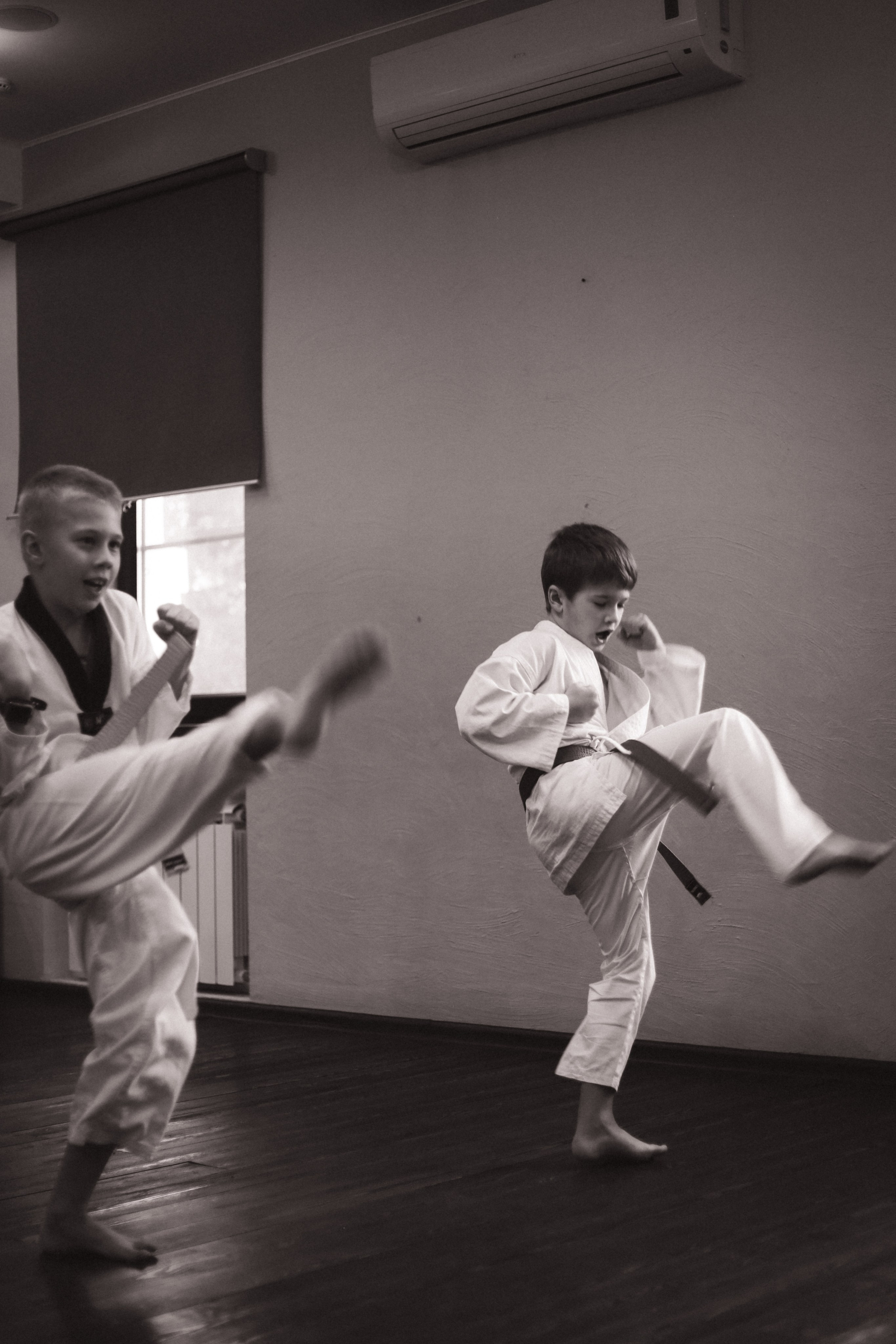 Тхэквондо Аттестация. Фотограф в Москве Бастракова Юлия