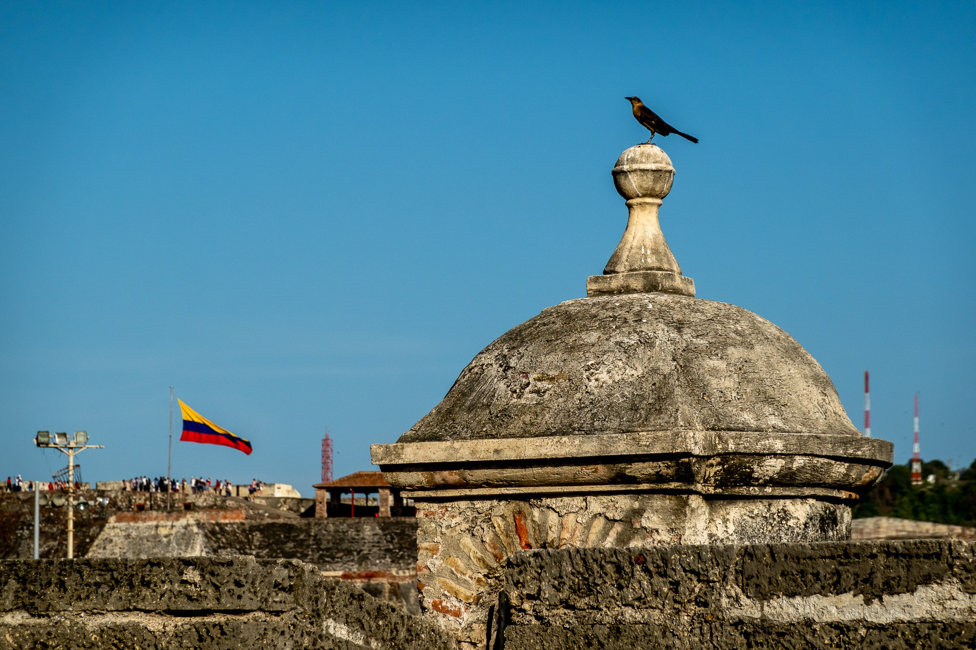 Алексей Скоробогатько, фотограф  г. Картахена, Колумбия. Alexey Skorobogatko, photographer, Cartagena, Colombia. Фотограф Алексей Скоробогатько