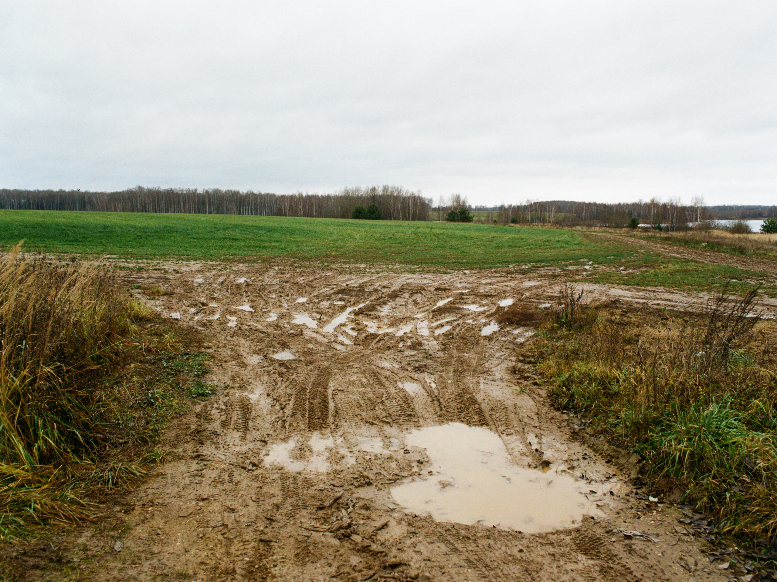 Roadtrip. Maria Abdullaeva