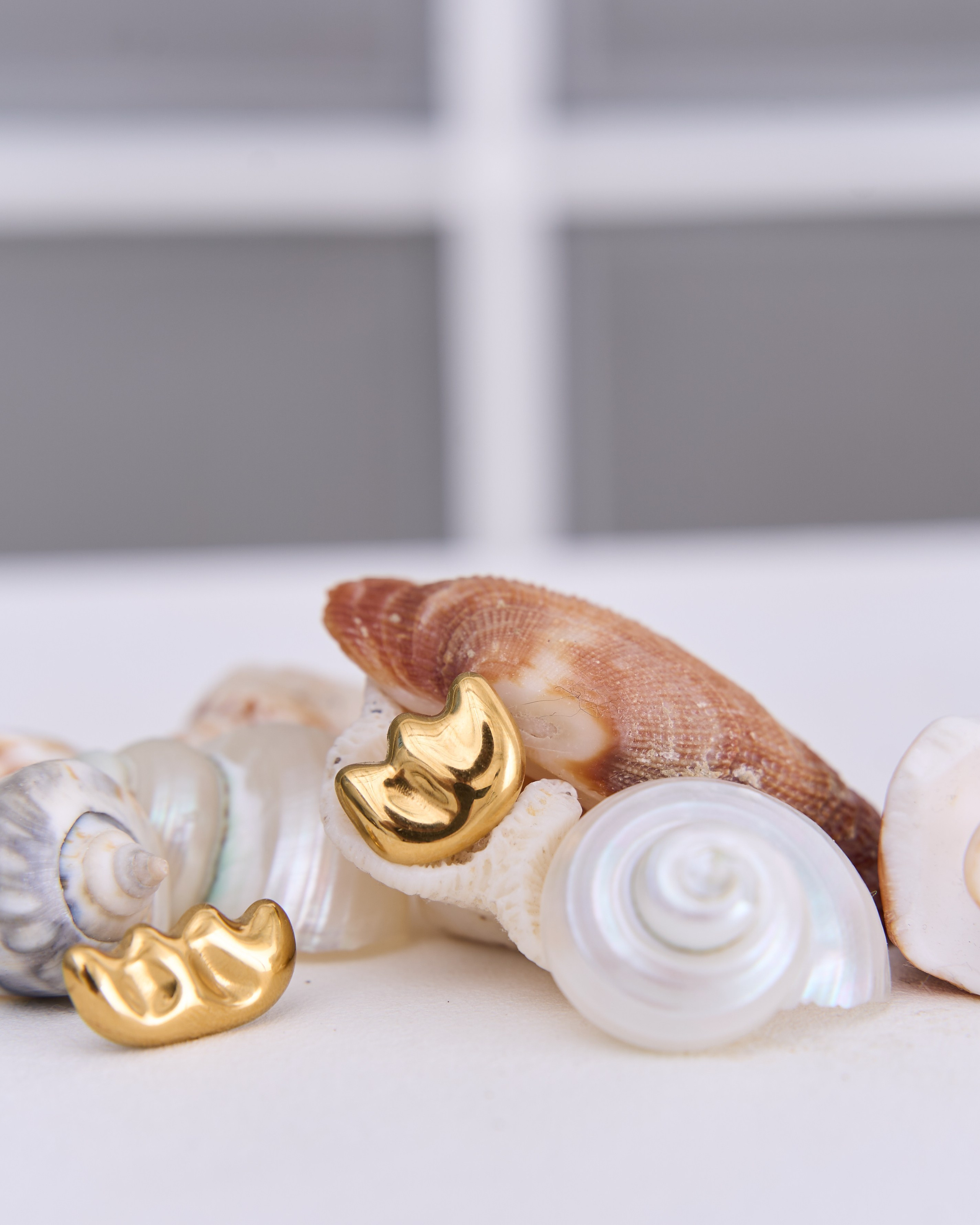 Pion. Марина Алексеева | Фотограф | Москва