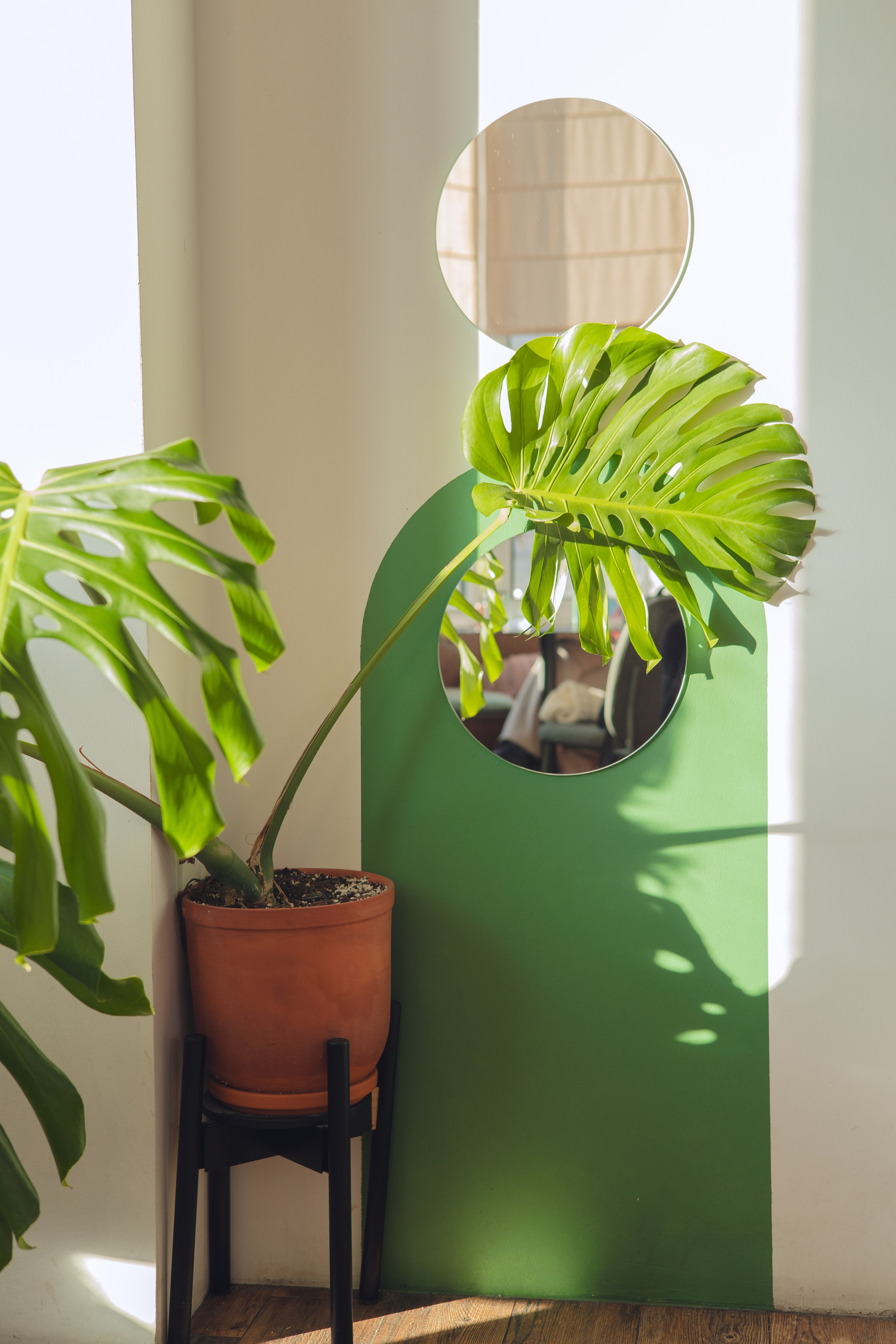 Предметная съемка для бизнеса. Фотограф в Санкт-Петербурге Осокина Елизавета