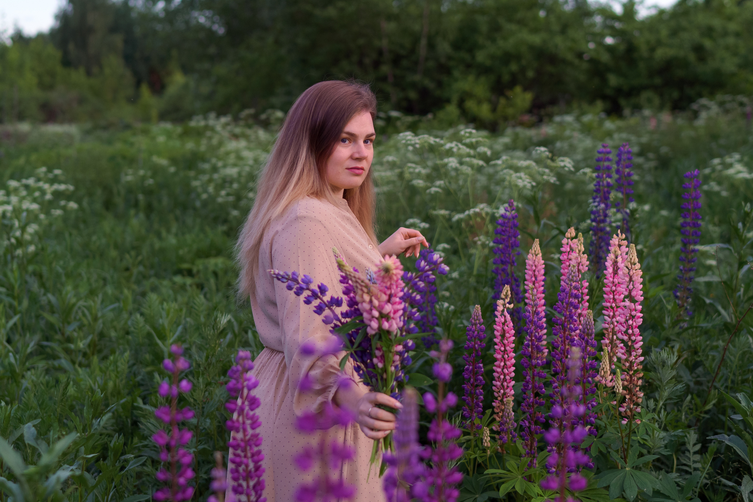 Фотосессия в люпинах для Дарьи