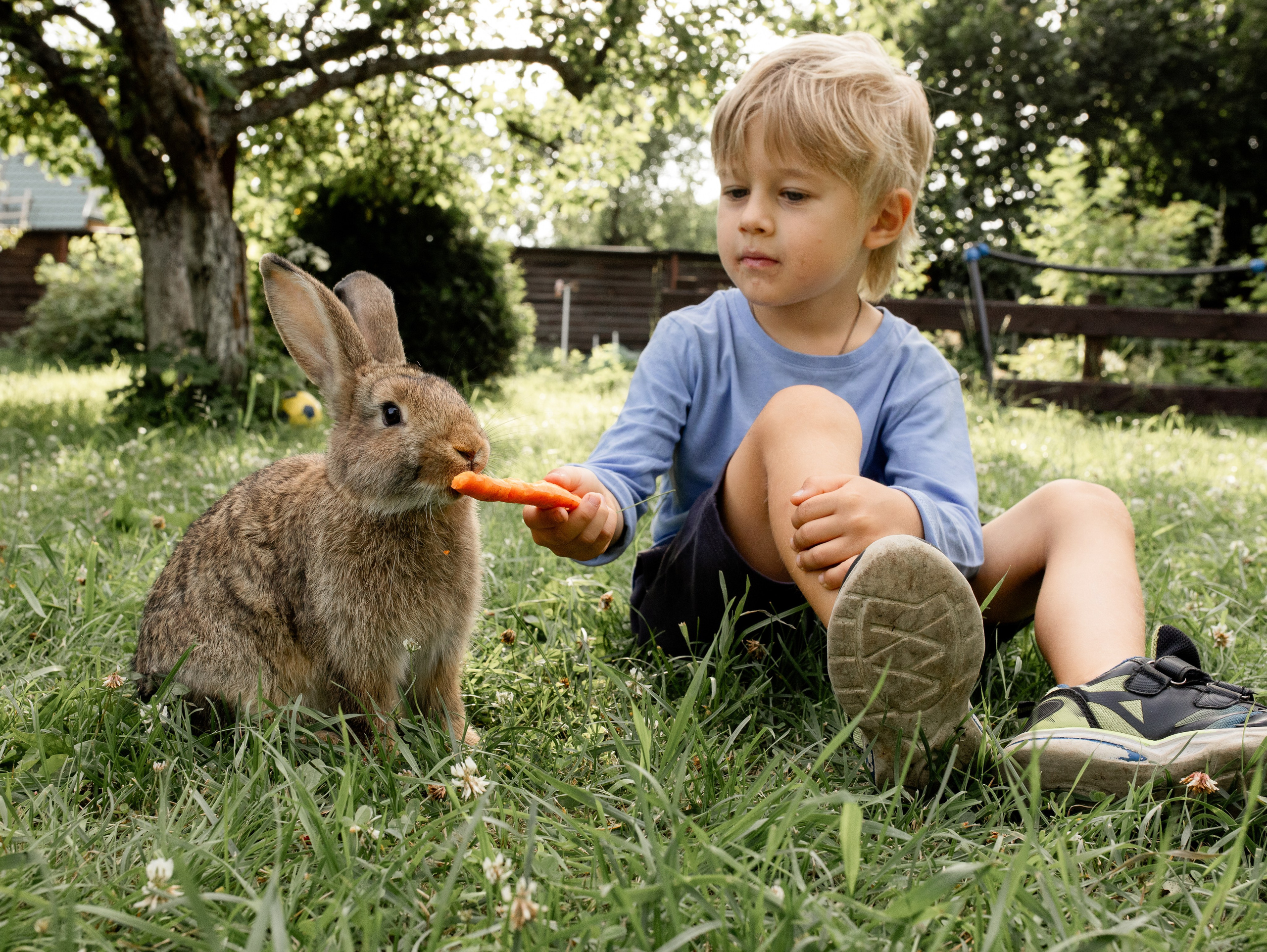 Кролики 2023. Семейный фотограф в Санкт-Петербурге Ирина Иванова