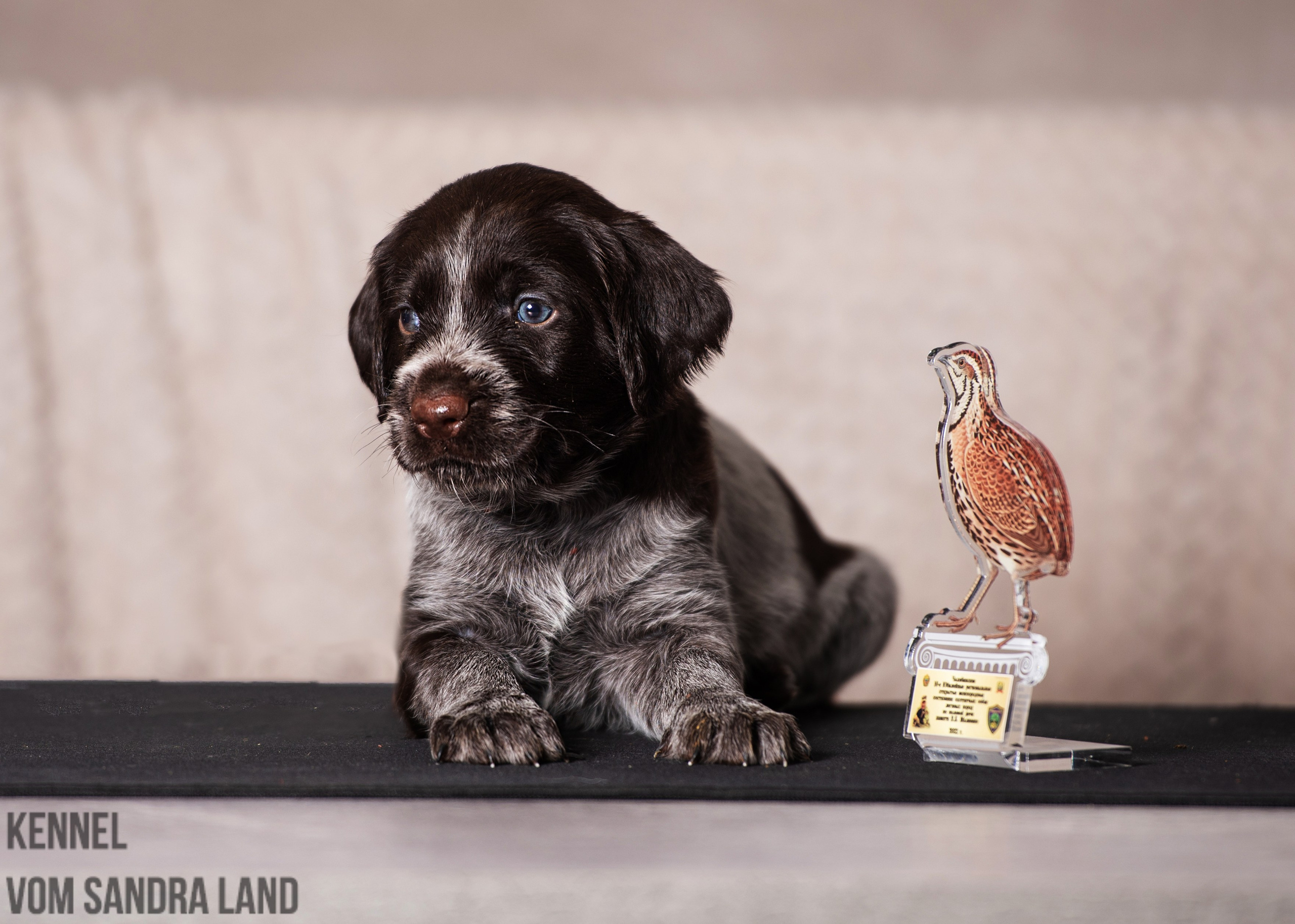 Вигдис вом Сандра Лэнд, Vigdis vom Sandra Land