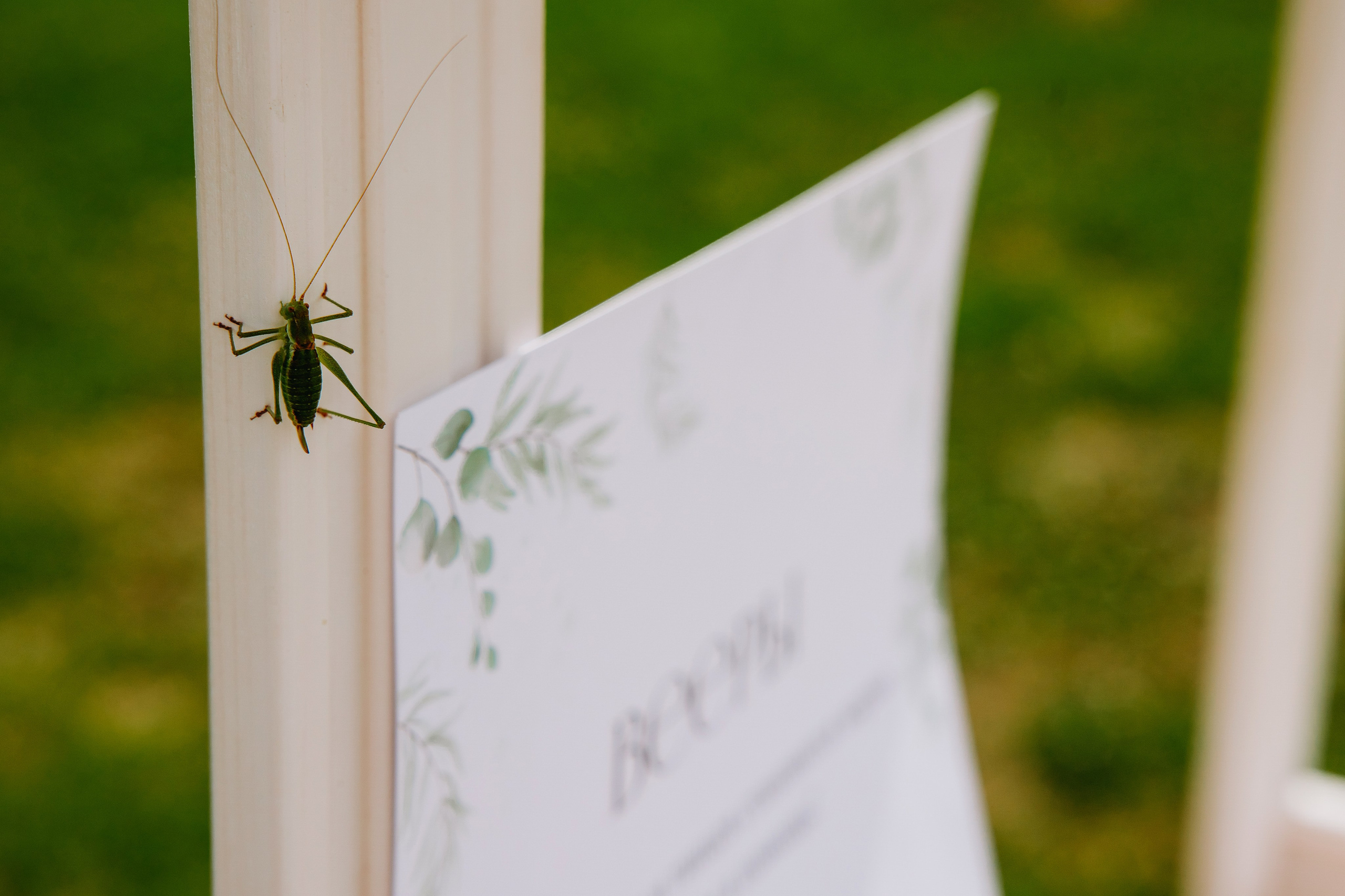 Дмитрий и Яна. Фотограф в Саратове Александр Кухаренко. И не только в Саратове :)