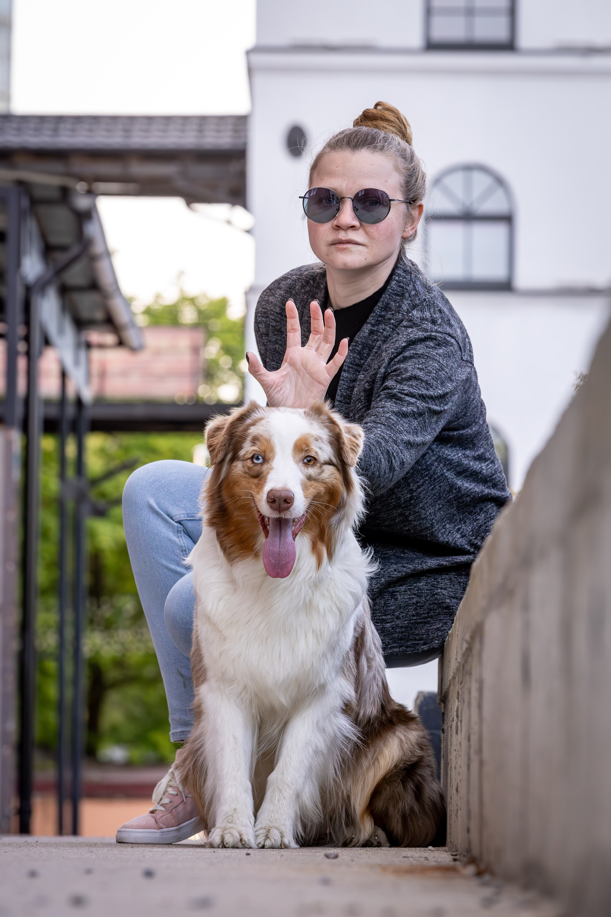 Полли, Австралийская Овчарка. Ирина Голомб|Фотограф-анималист в  Сочи и Калининграде