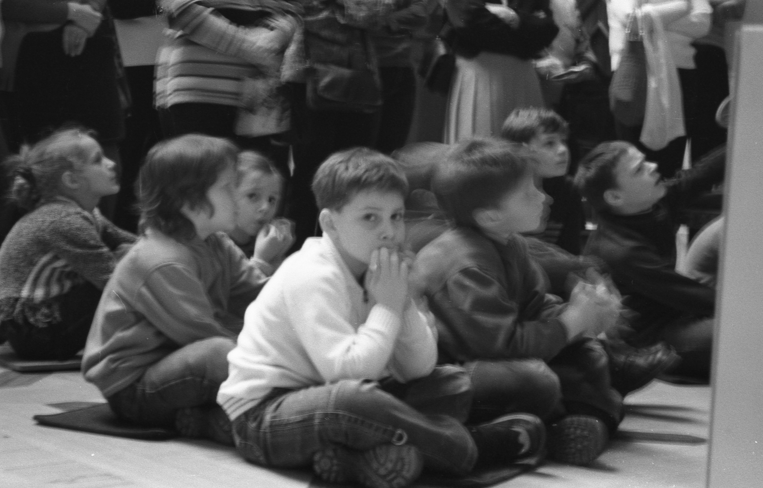 Fine art. Katya Zimina, film photographer