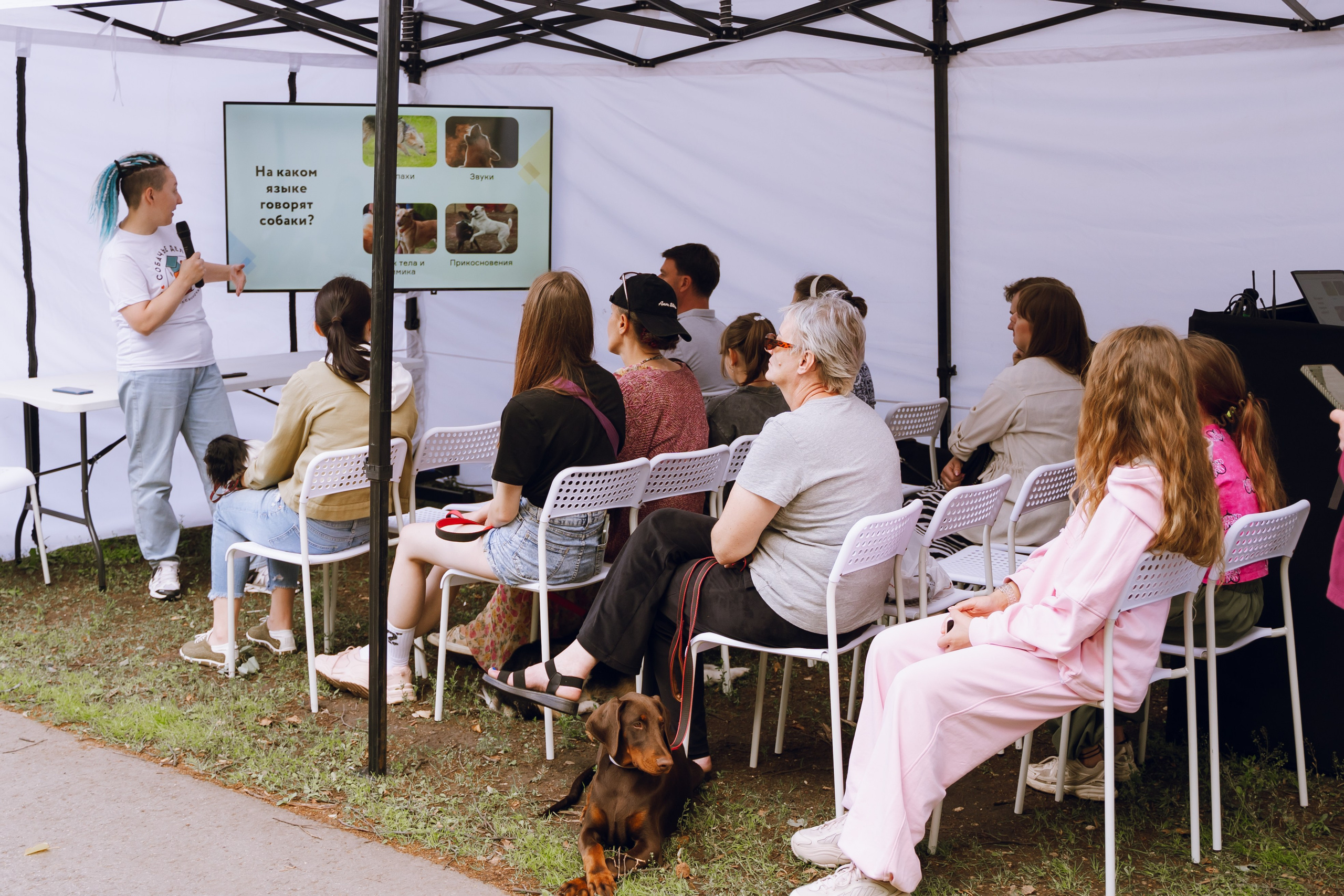 Площадка фестиваля «Мампус и его друзья» в Лесопарке 2025. Фотограф Надежда Погребняк | Рязань | Москва