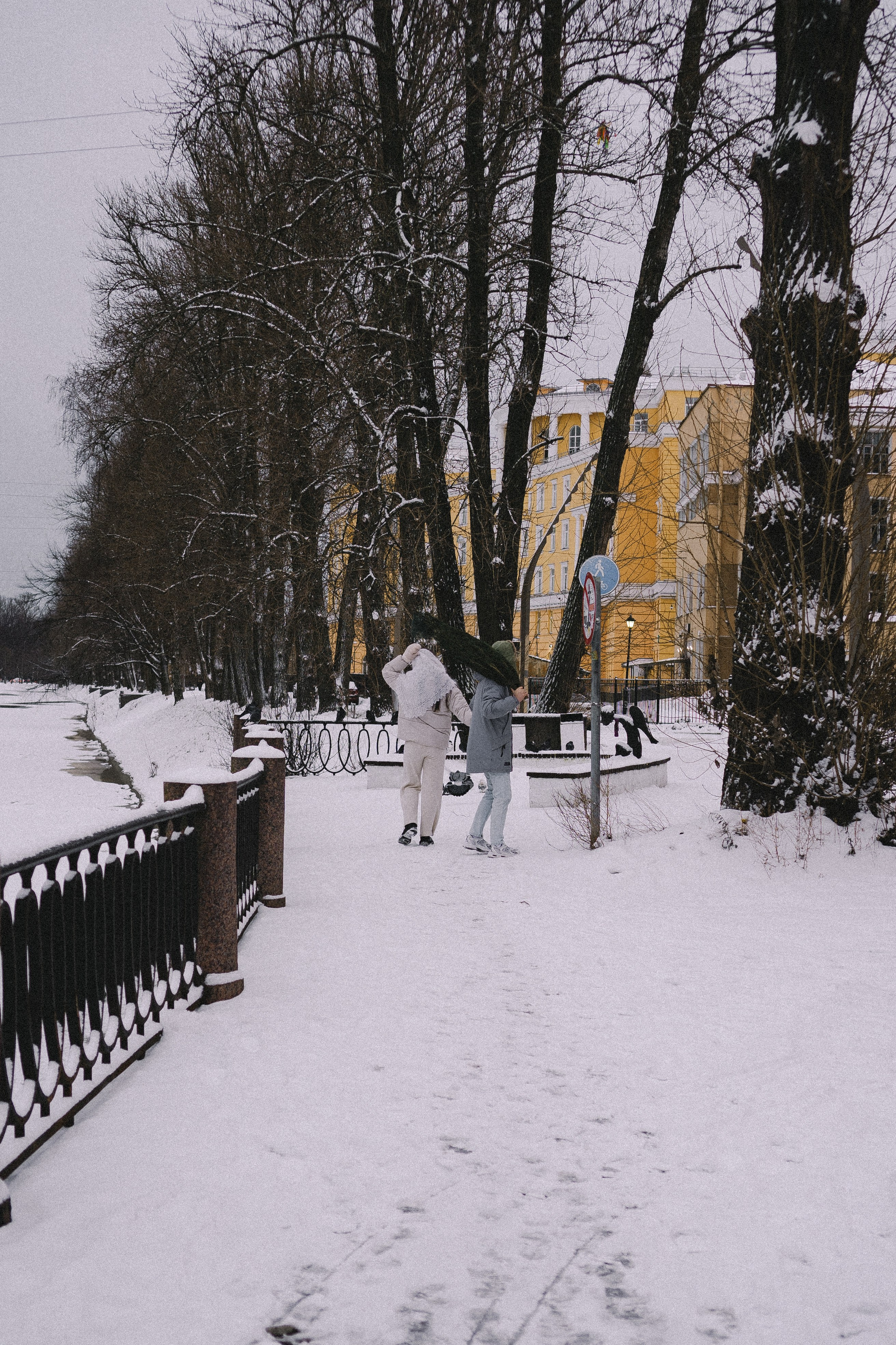 Зимняя история. Профессиональный фотограф, Санкт-Петербург — Виктория Богомолова