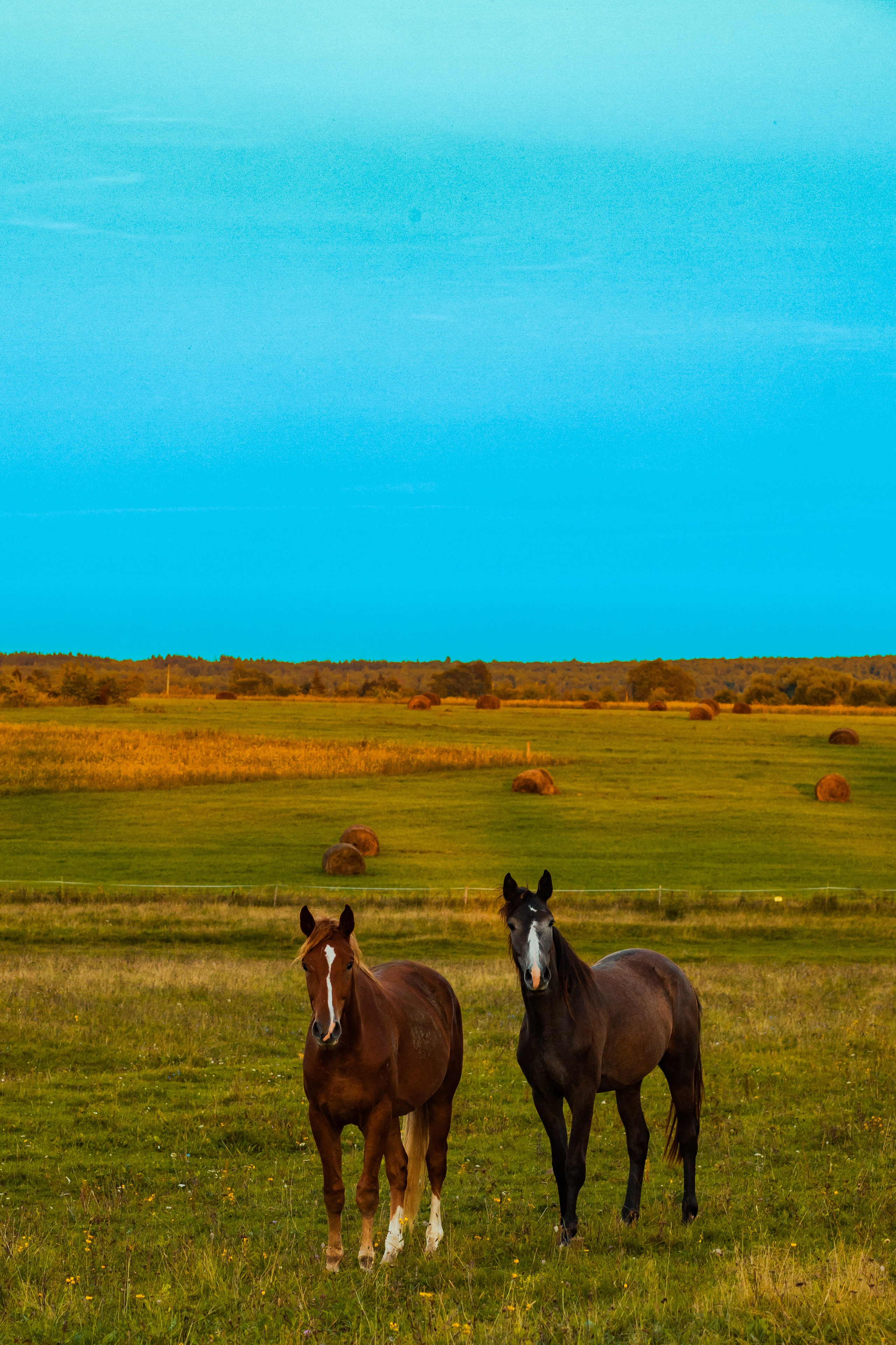 Деревня Мишнево | Калужская область. Папка кадров 📁