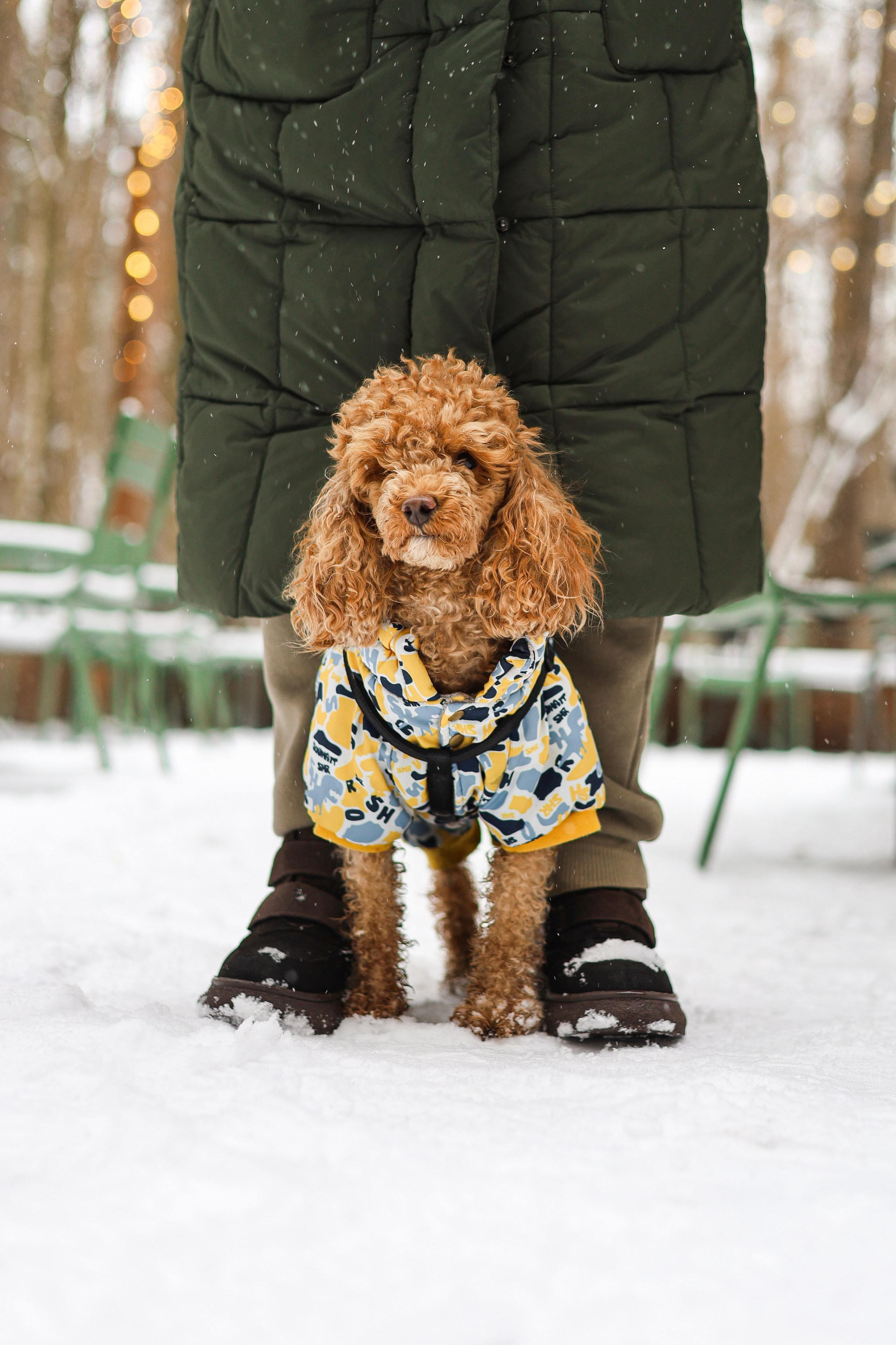 Муд и Леся. Фотограф-анималист Ксения Шевцова|Москва
