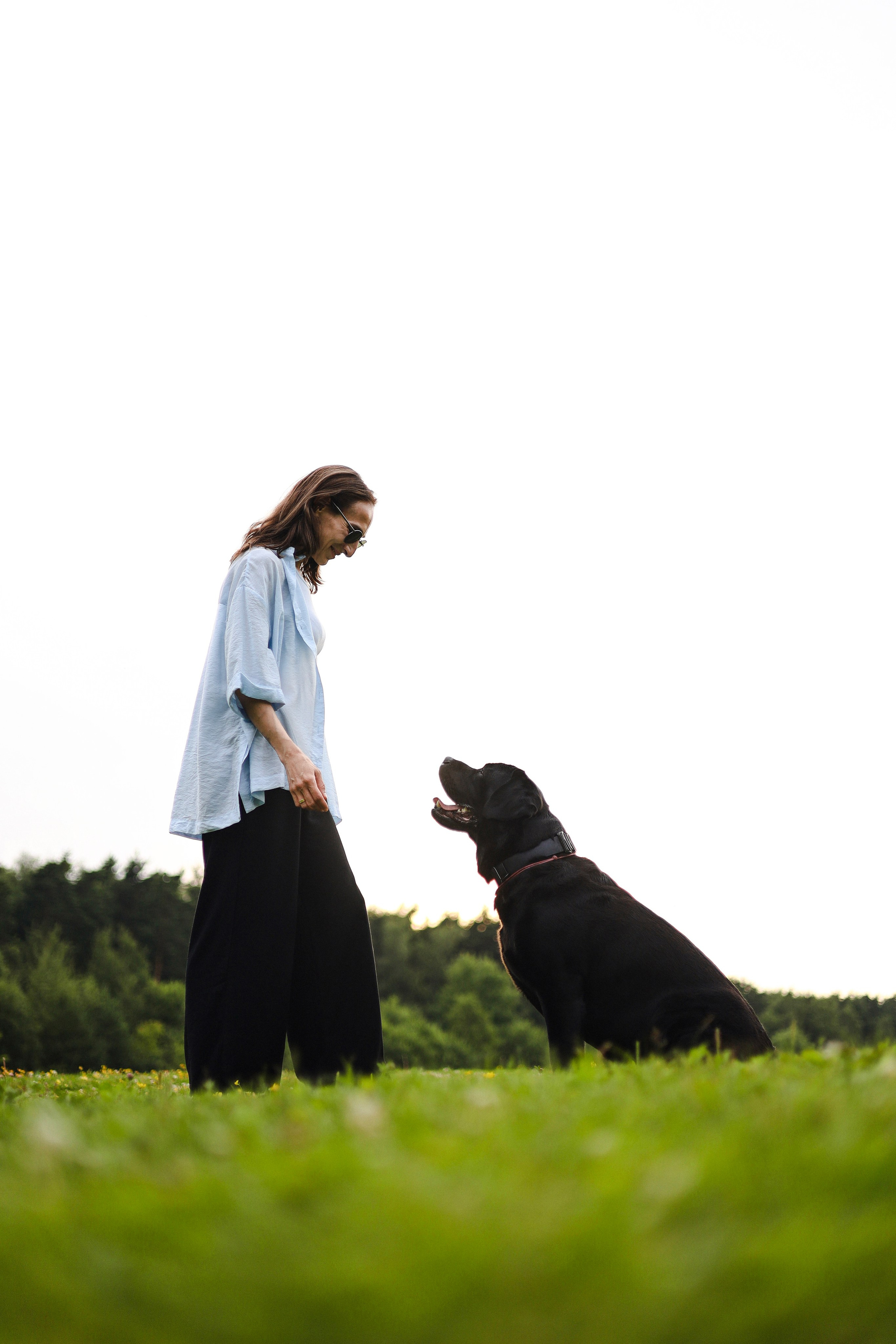 Найт и Соня. Фотограф-анималист Ксения Шевцова|Москва